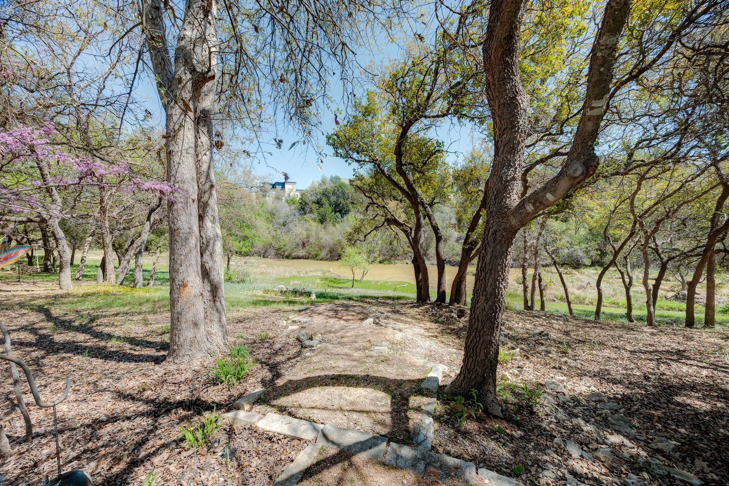 Scenic wooded park with tall trees, dappled sunlight, and a stone bench surrounded by lush greenery in spring.