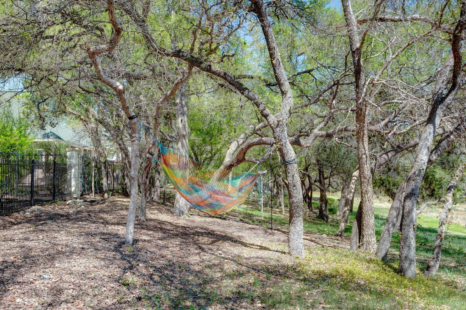 Colorful hammock strung between oak trees in a shaded backyard with natural ground cover and wooden fence.