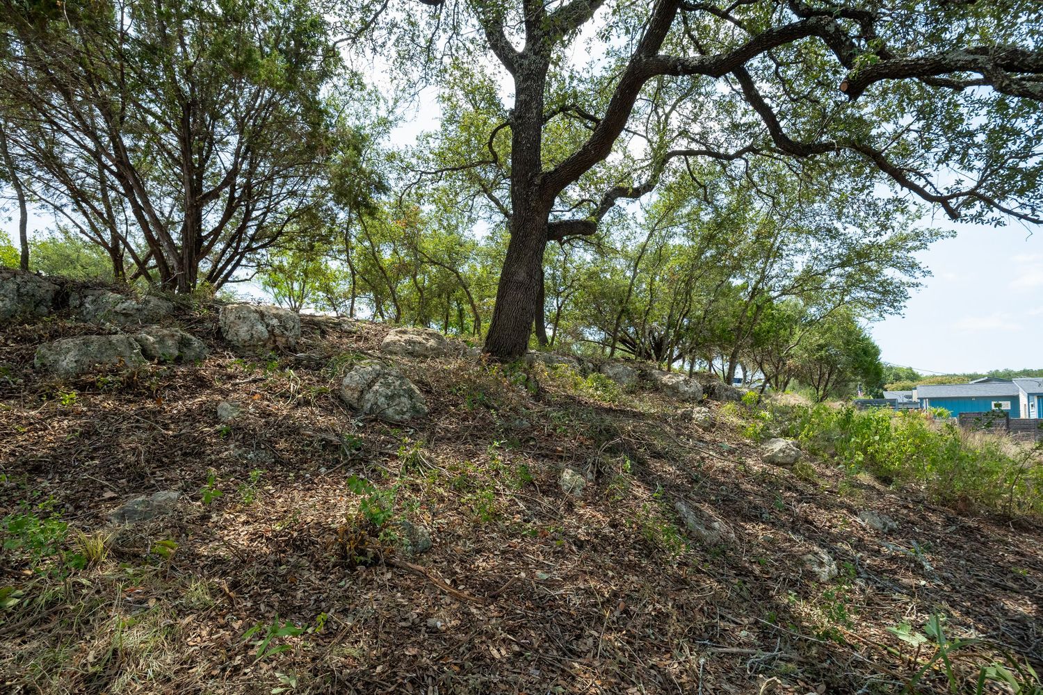 Rocky hillside with mature oak trees overlooking a lake, natural Texas Hill Country landscape with mulched ground cover.