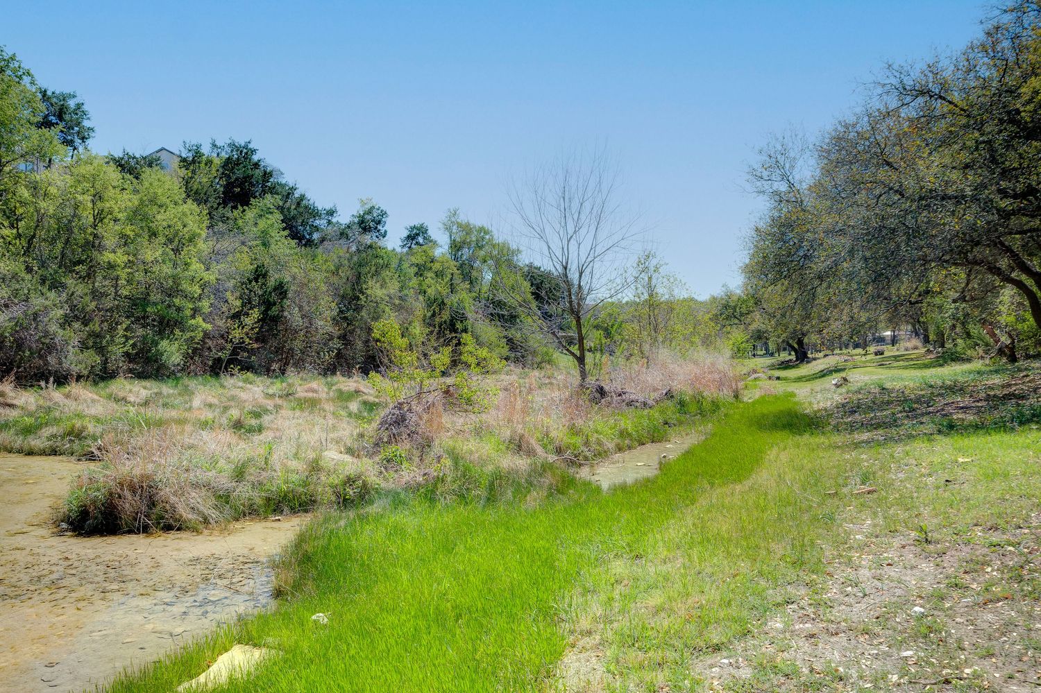 Lush green meadow with a winding dirt path surrounded by trees and wildflowers under a clear blue sky.