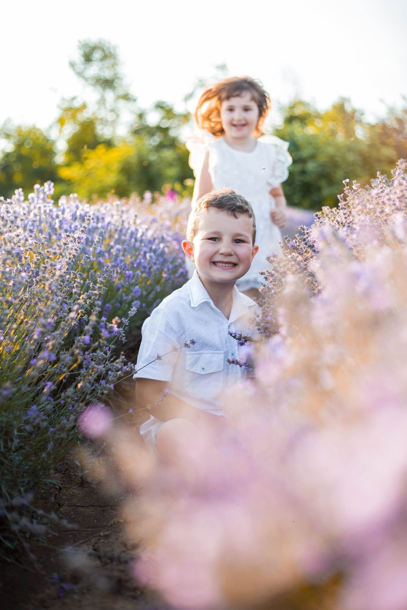 Two happy children in white clothes playing in a blooming lavender field on a sunny day.
