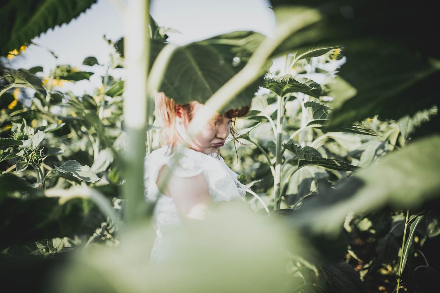 Child peeking through lush green sunflower leaves in a garden.