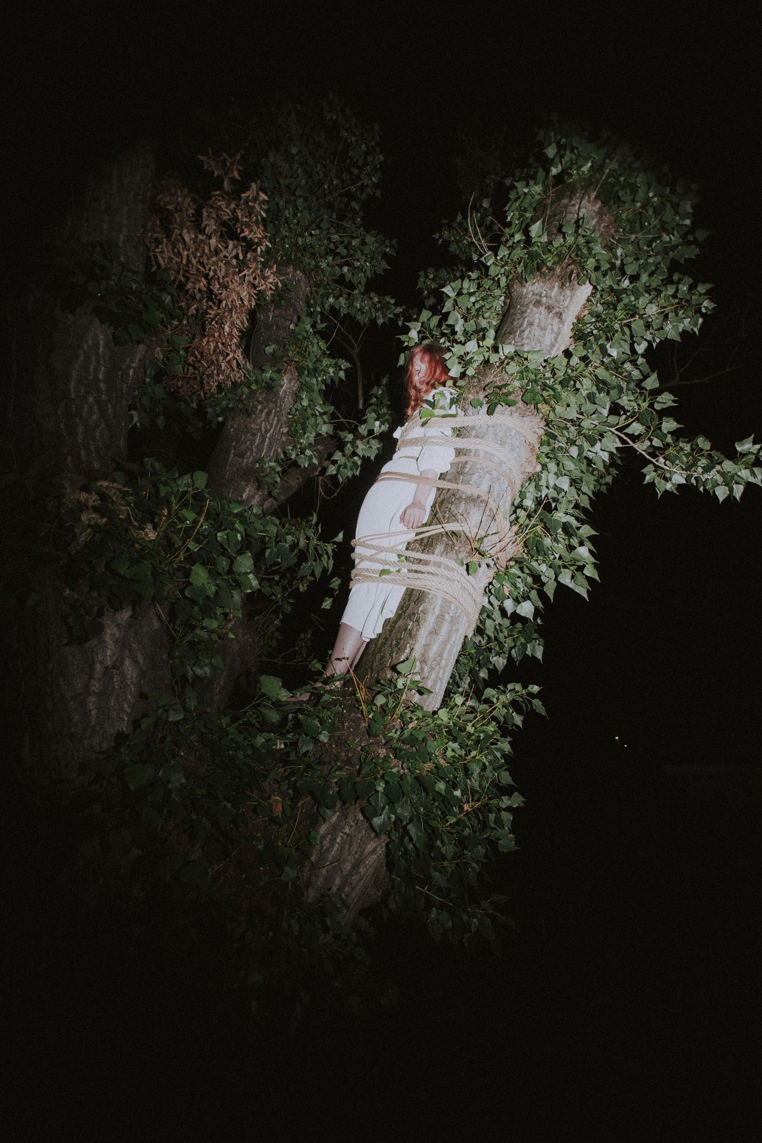 Person in white dress bound with rope to ivy-covered tree trunk in dark forest at night.
