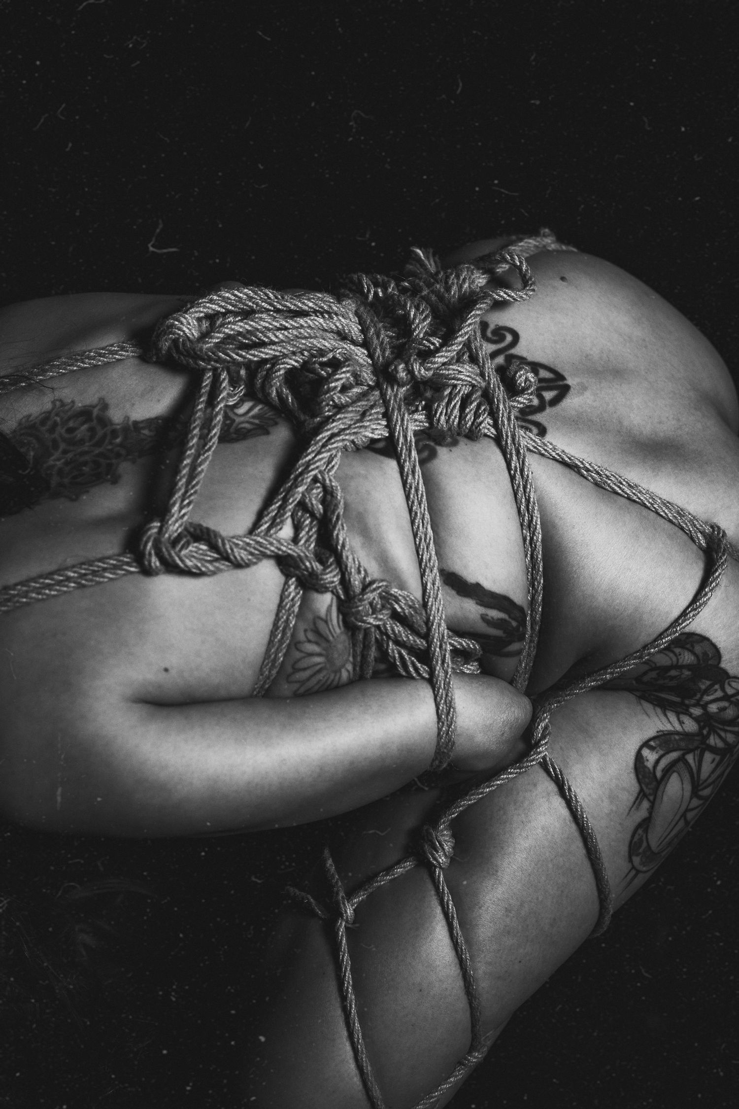 Black and white close-up of intricate shibari rope bondage knots on a human body.