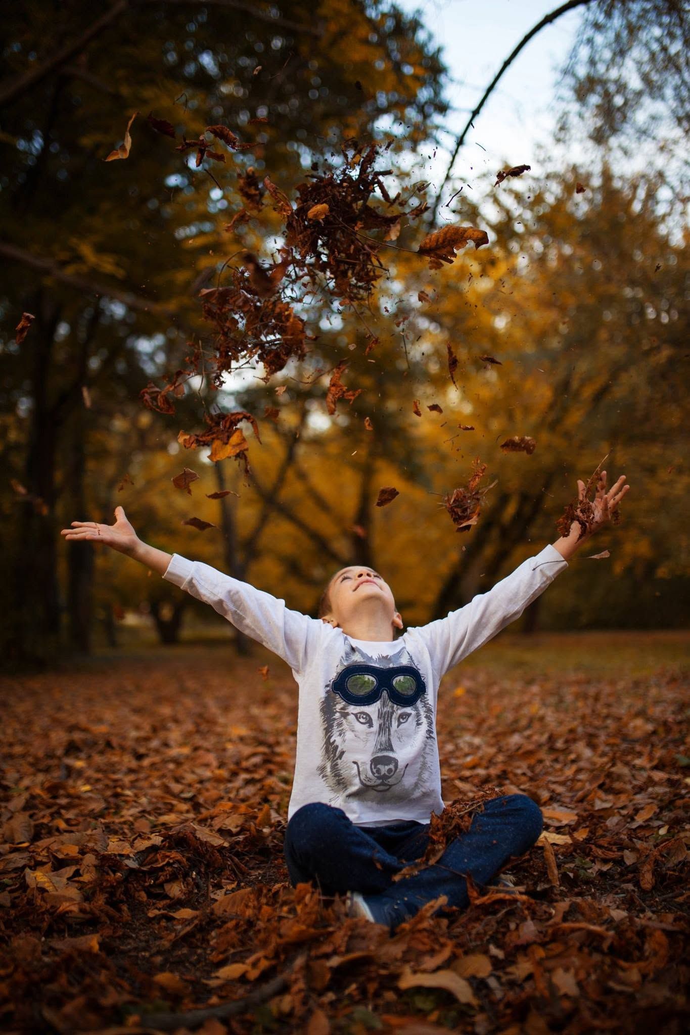 Child sitting cross-legged in autumn park, tossing golden fall leaves into the air with arms raised, wearing wolf graphic sweatshirt.