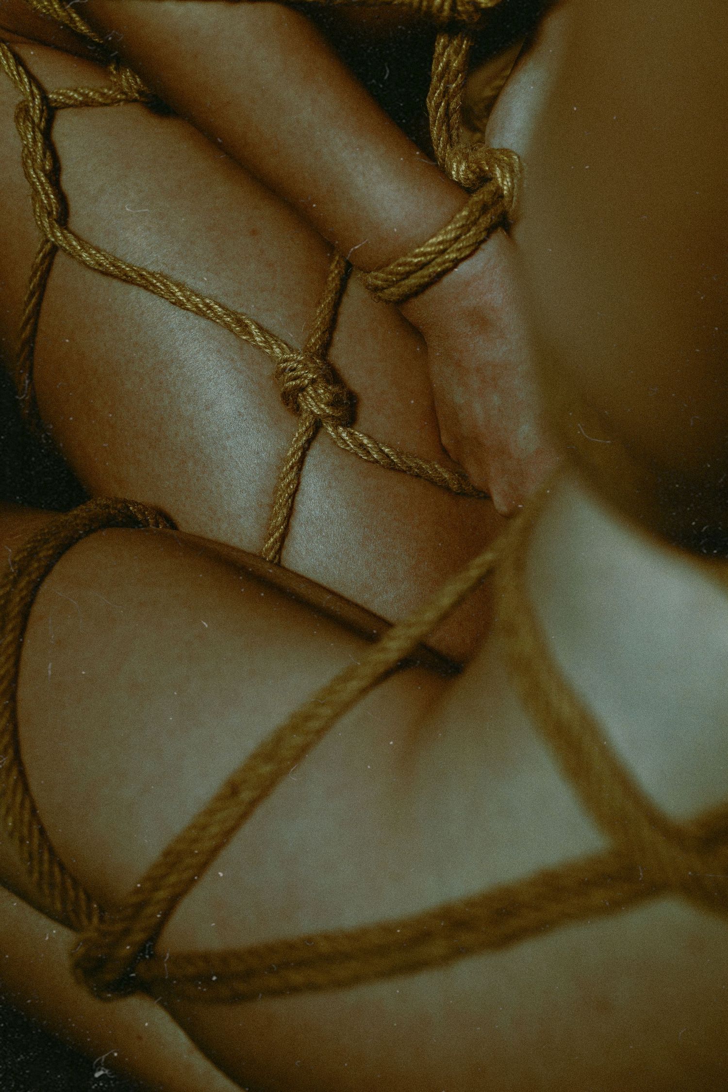 Close-up detail of golden shibari rope knots tied against bare skin in warm tones.