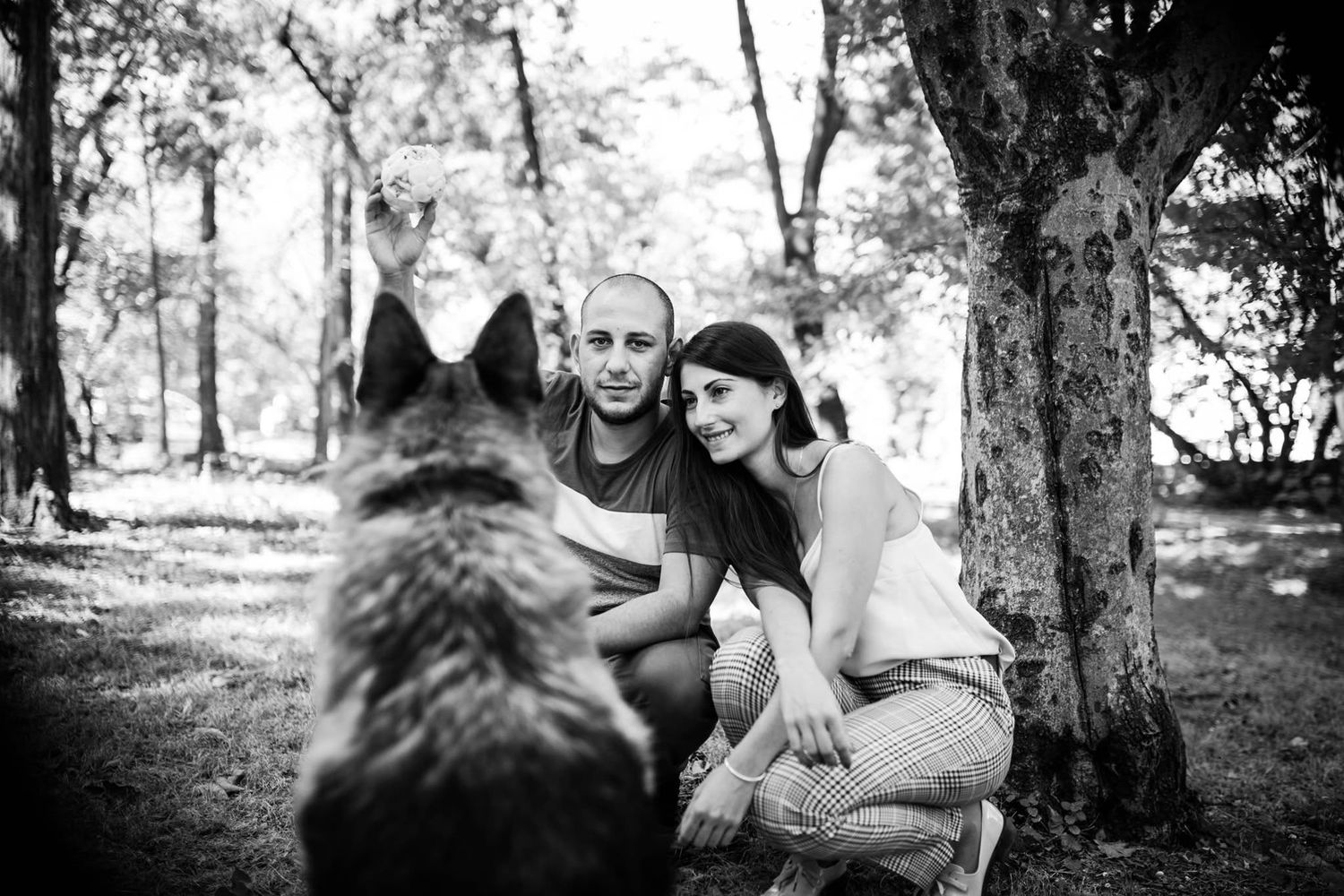 Black and white photo of a couple crouching near a tree in a park with a German Shepherd dog in the foreground.