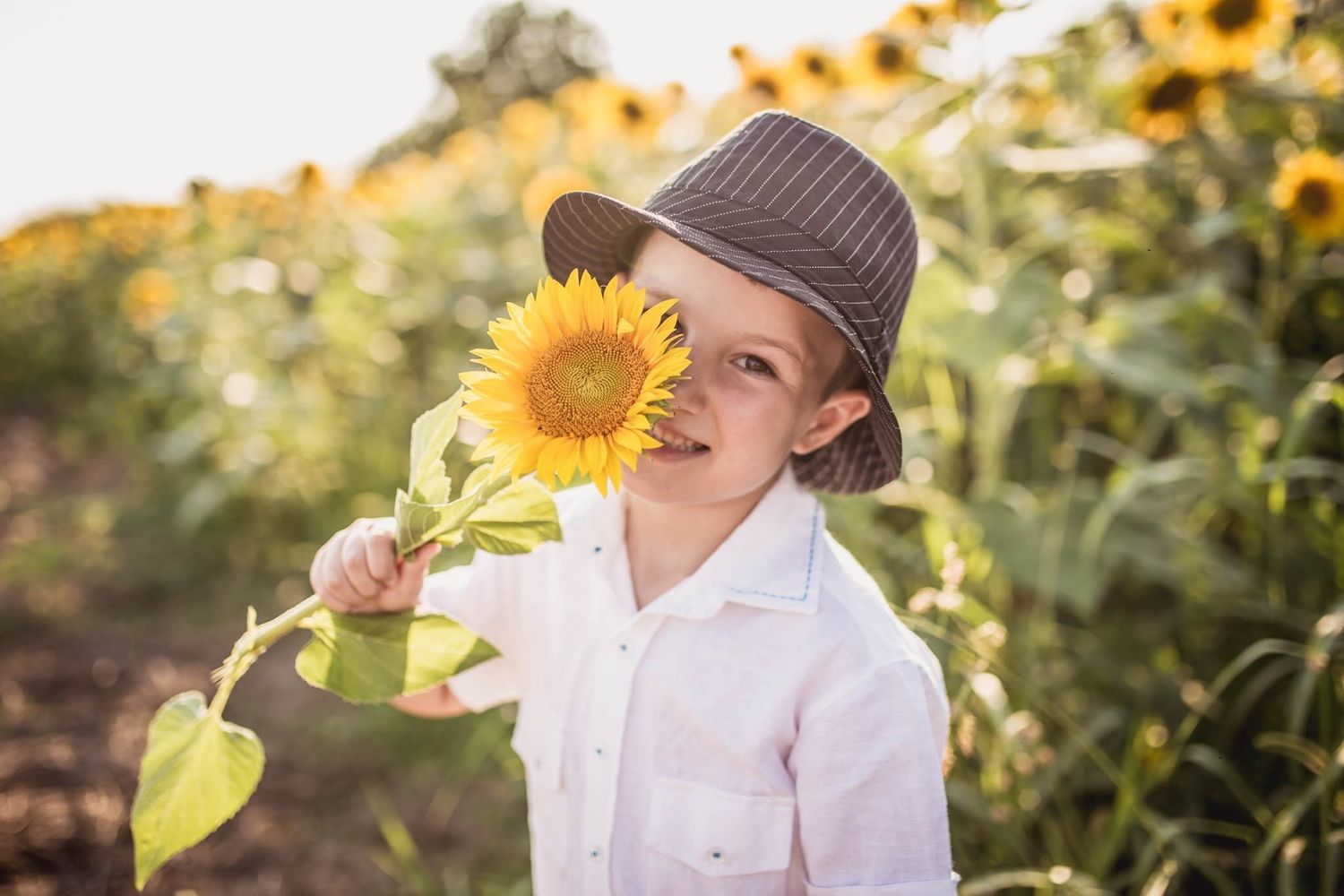 A young boy in a striped hat holds a sunflower in a sunny field, partially covering his face with the bloom.