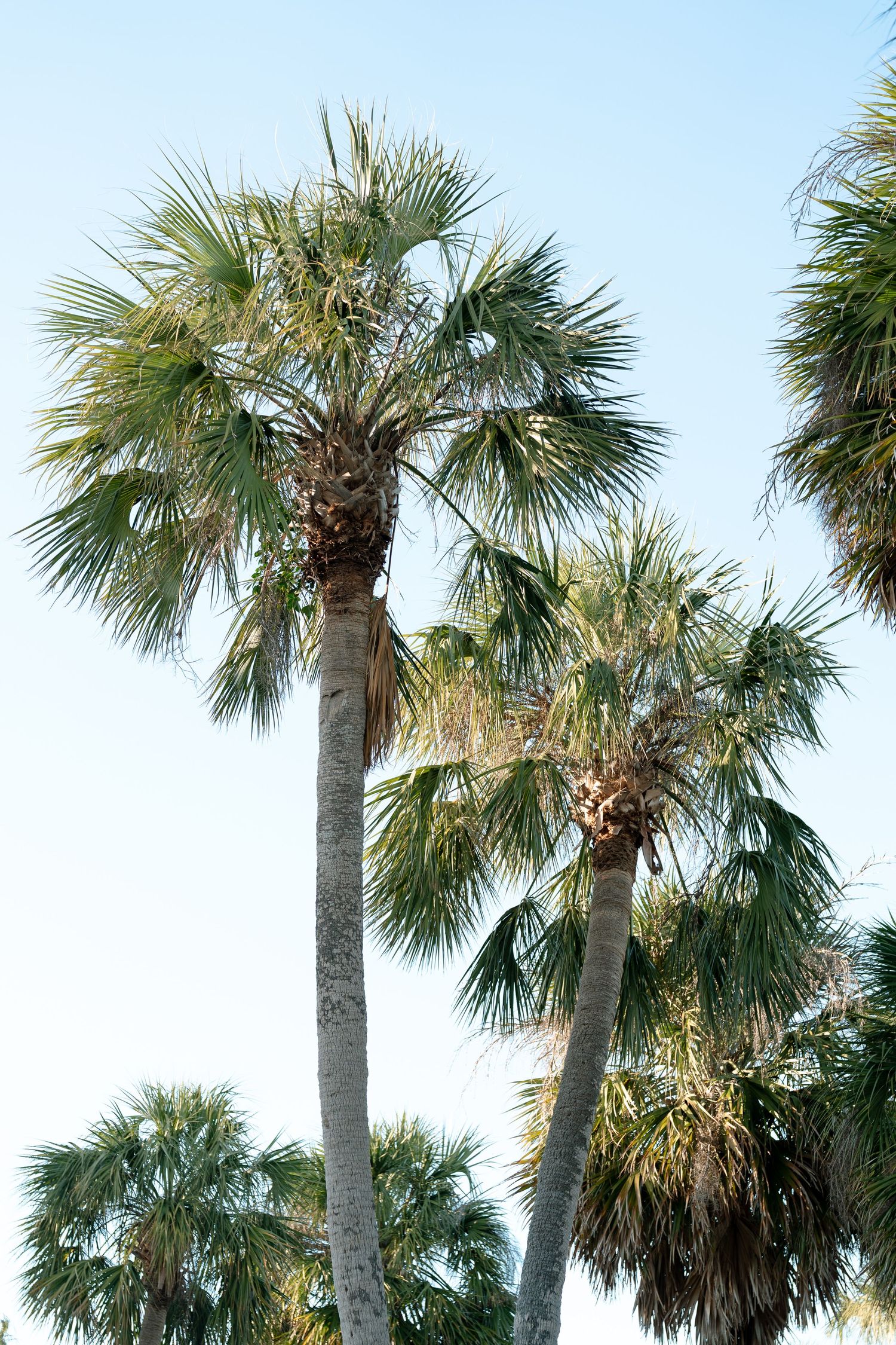 Clearwater Beach, Florida