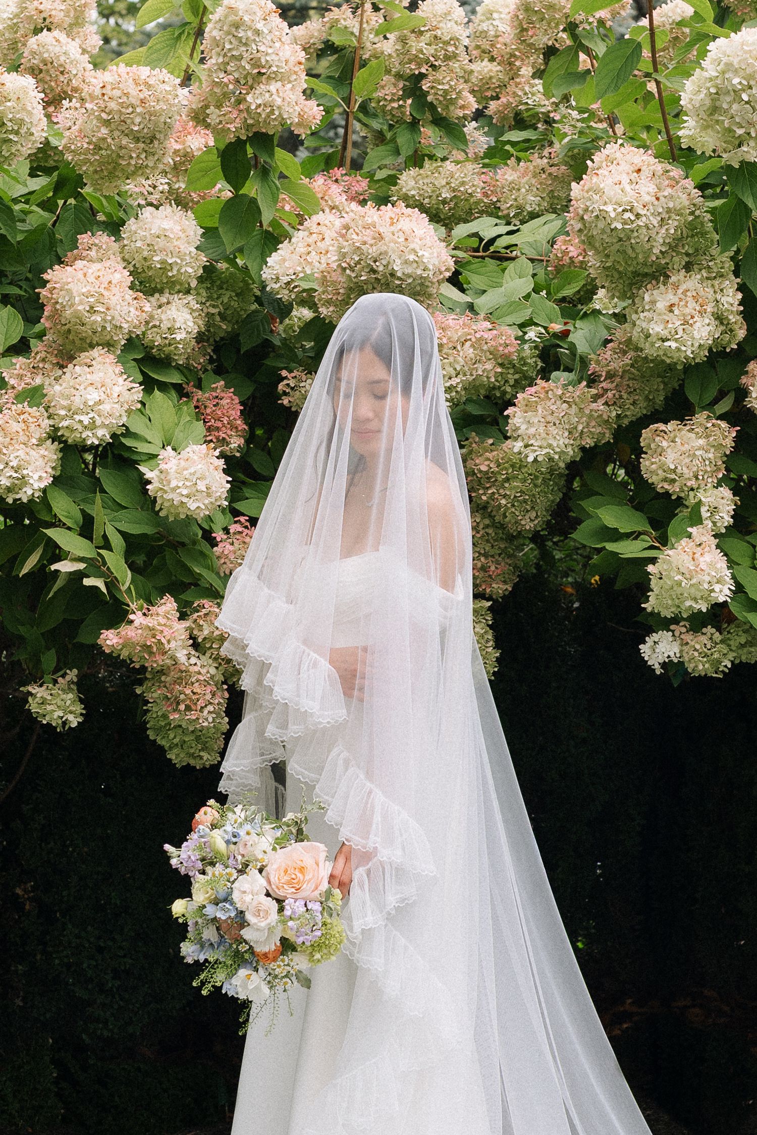 An elegant New England bride under a flowing veil stands before blooming hydrangea bushes holding a pastel bouquet.