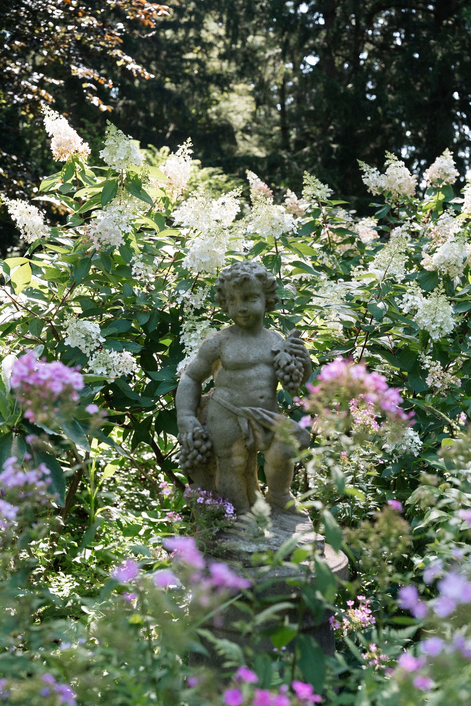 Stone cherub statue nestled among blooming white and purple flowers in a lush garden setting.