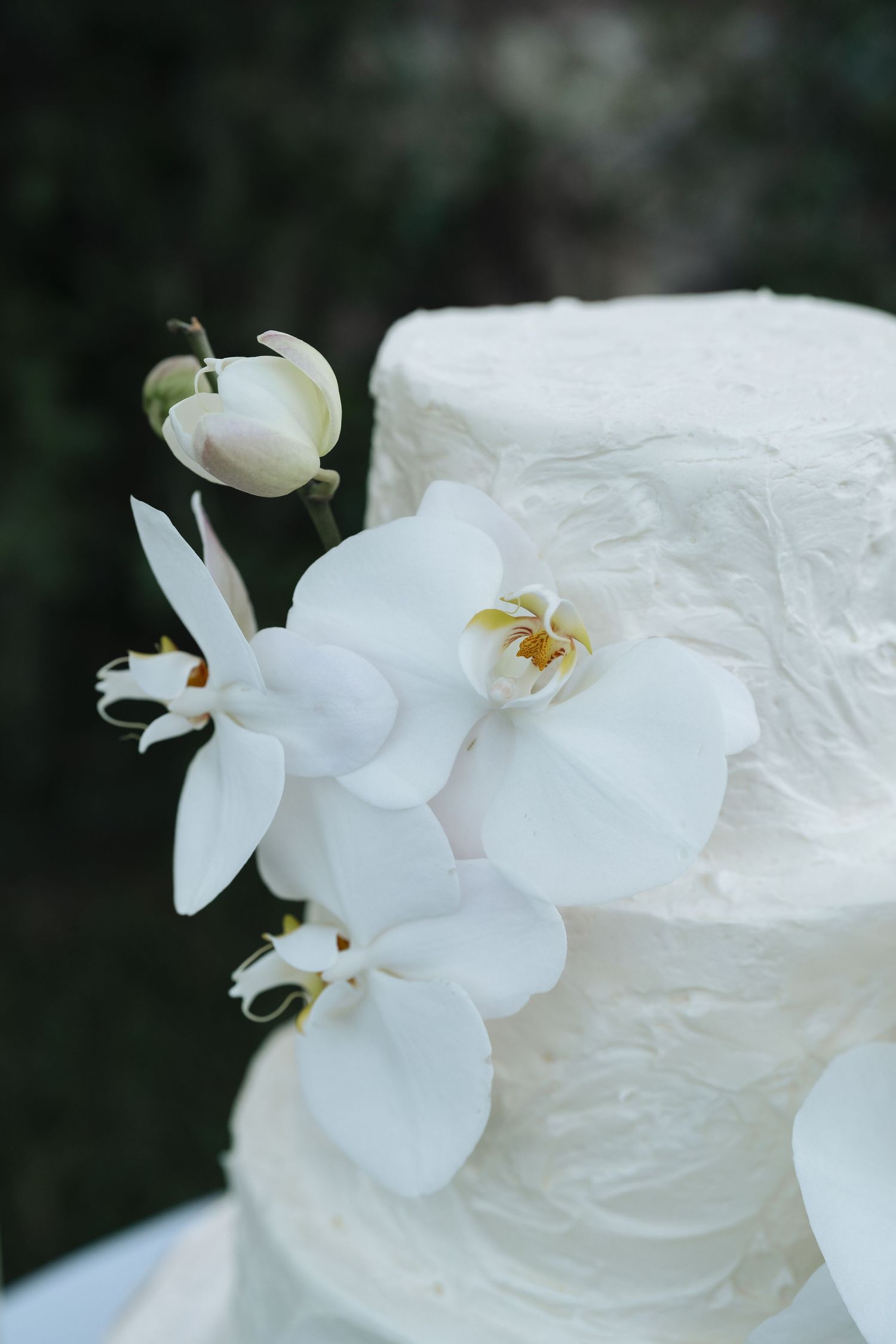 Close-up detail of an elegant white wedding cake decorated with fresh white orchids against a dark background in Tampa, Florida
