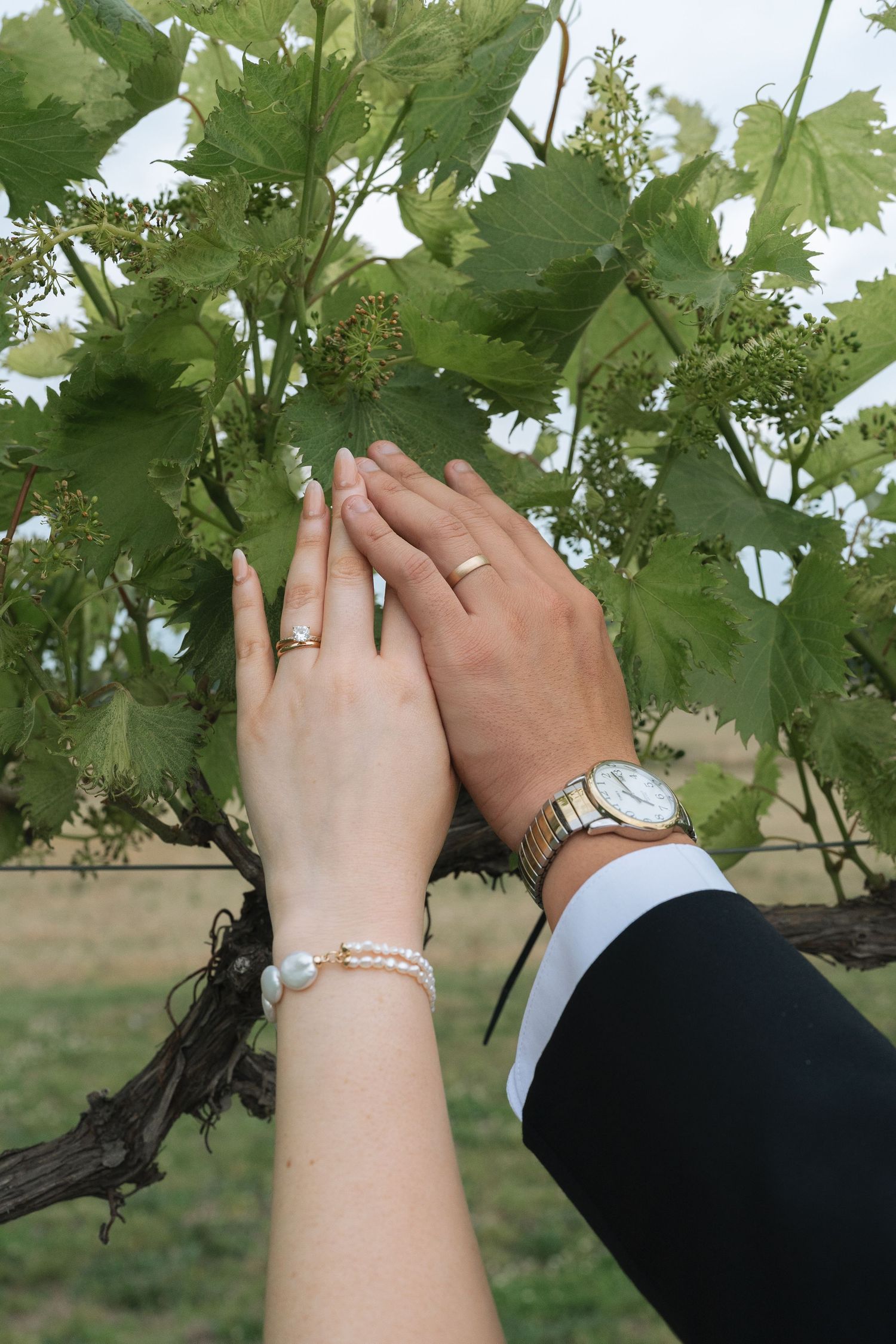 Bride and groom pressing their hands together with wedding rings, a pearl bracelet and a wristwatch in front of green grapevine leaves