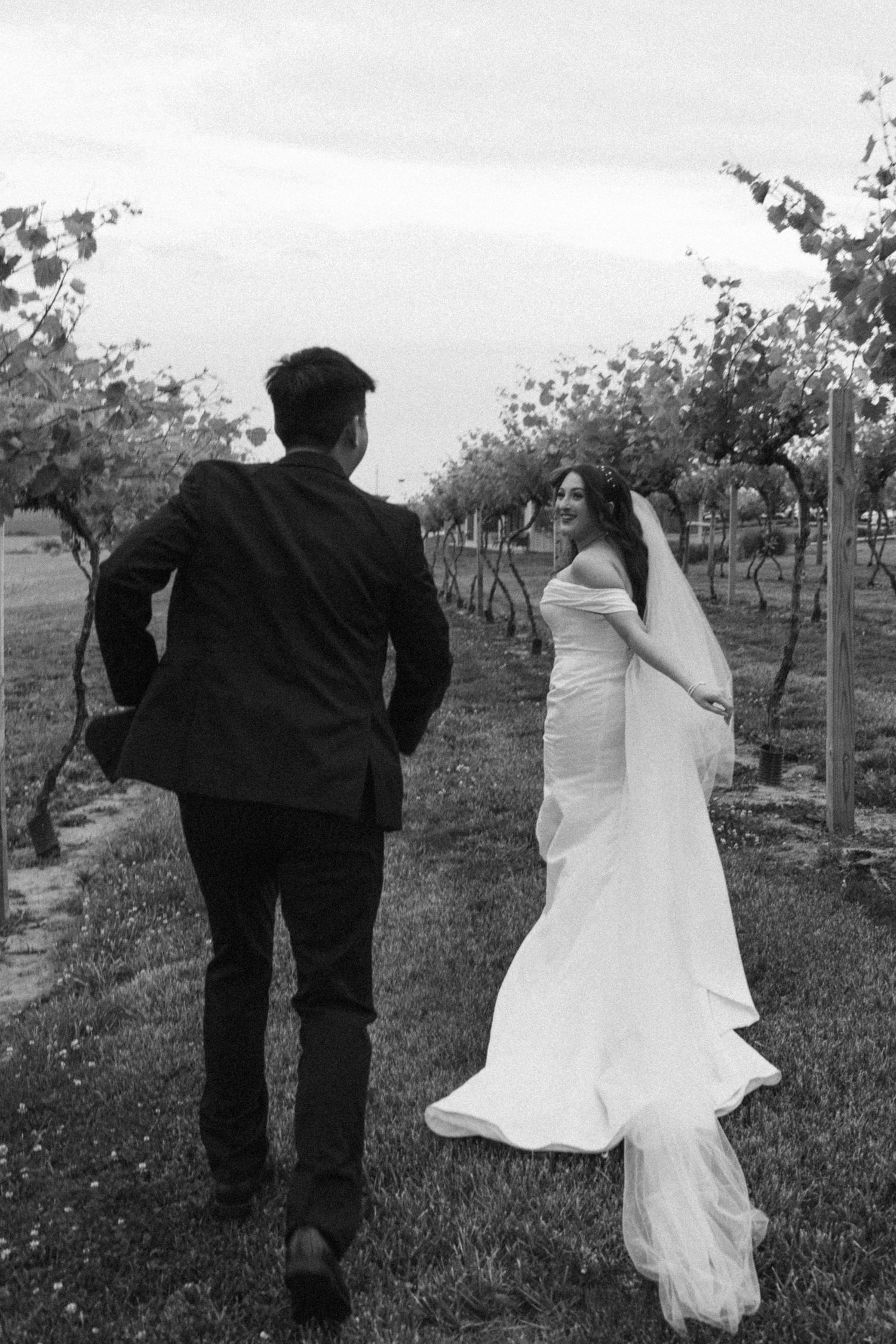 Black and white photo of a bride and groom walking through a vineyard in Kentucky, bride glancing back with veil flowing
