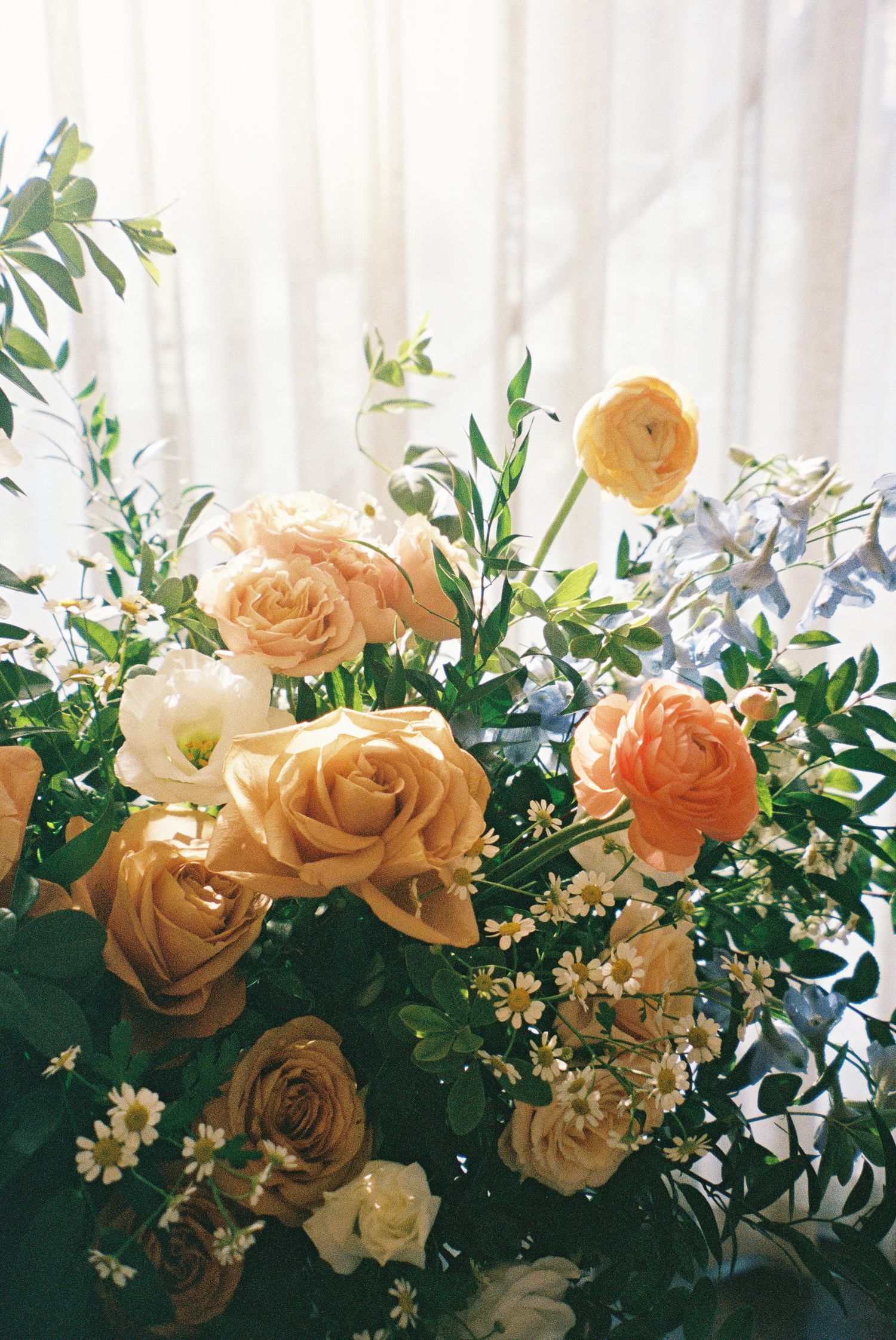 A panoramic floral arrangement of peach roses and white flowers with green foliage against a bright background captured on vintage film