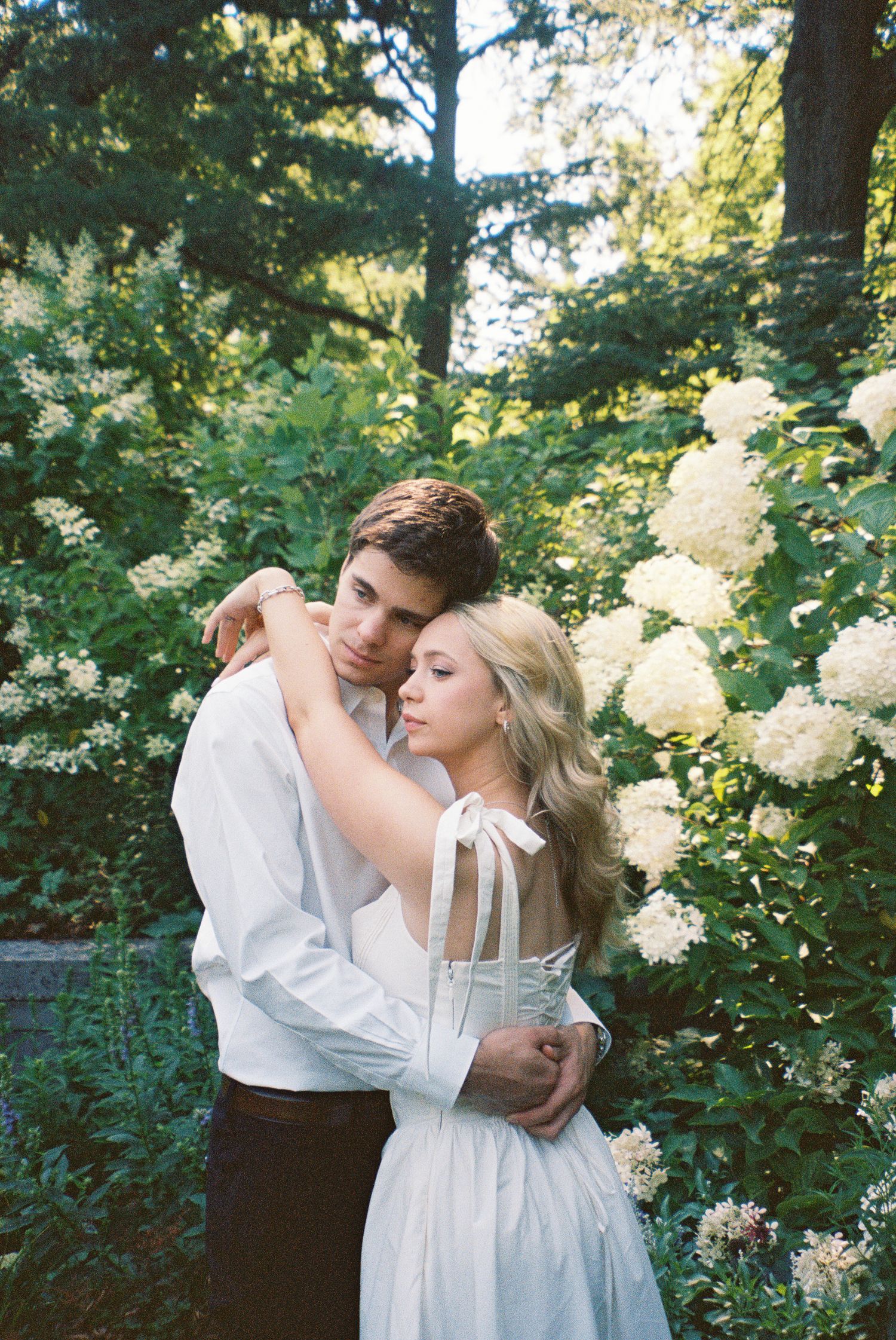 A romantic moment captured on film in a lush garden setting with blooming white hydrangea flowers in golden sunlight in Indianapolis