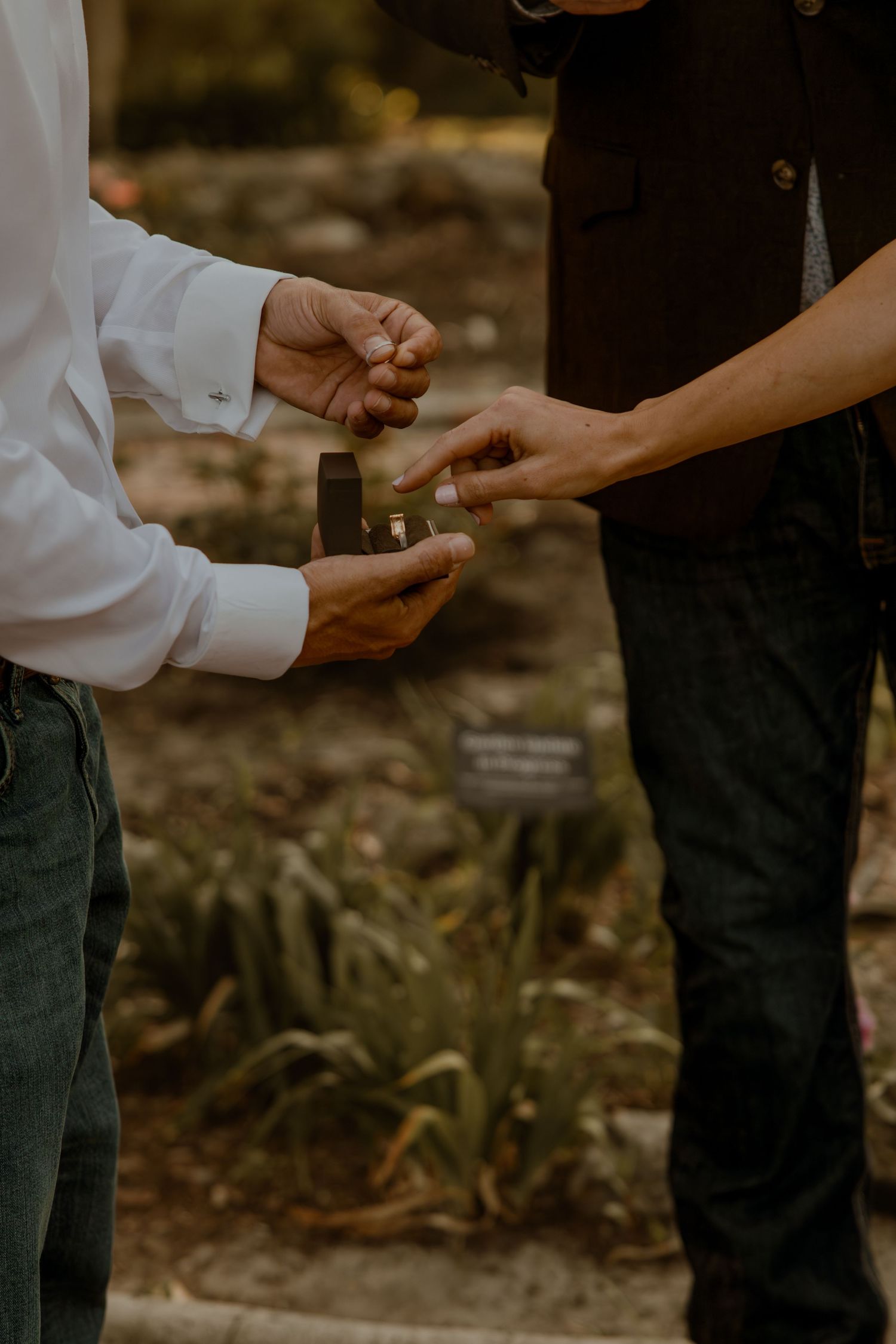 Two people exchanging rings during an intimate outdoor ceremony.