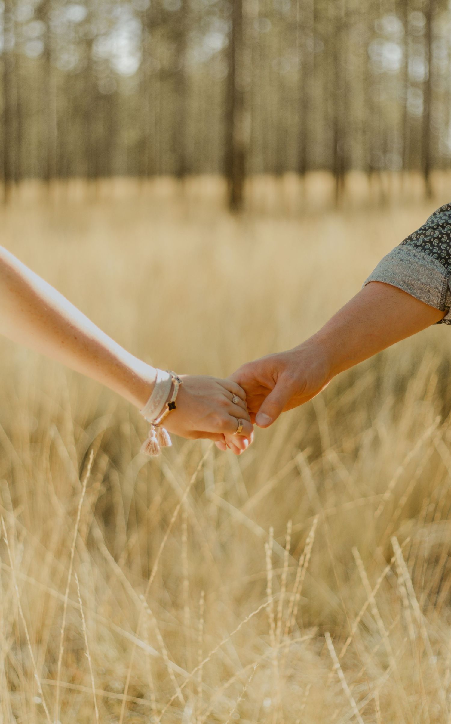 Two people holding hands in a golden wheat field at sunset.