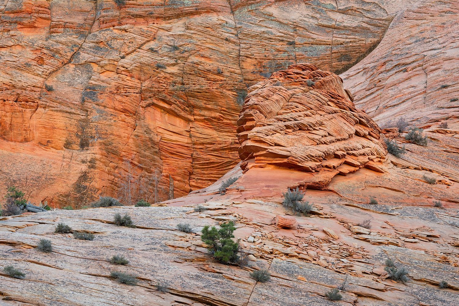 Scenic panoramic view of red sandstone cliffs with layered rock formations in a desert landscape.