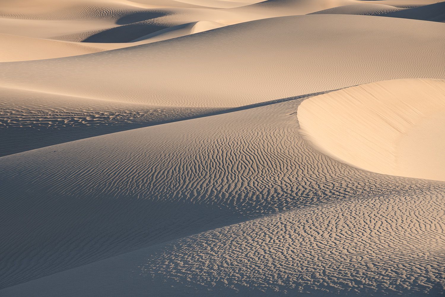 Rippling patterns of sand dunes in the desert create mesmerizing textures and shadows during golden hour.
