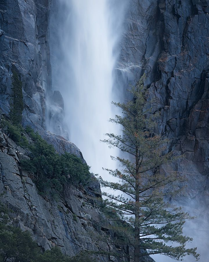 Towering waterfall cascades down steep granite cliffs with a lone evergreen tree in the misty foreground.