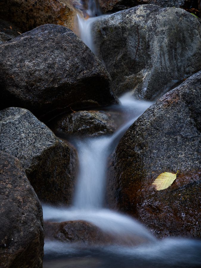 Small waterfall cascades over dark rocks with a single yellow autumn leaf.