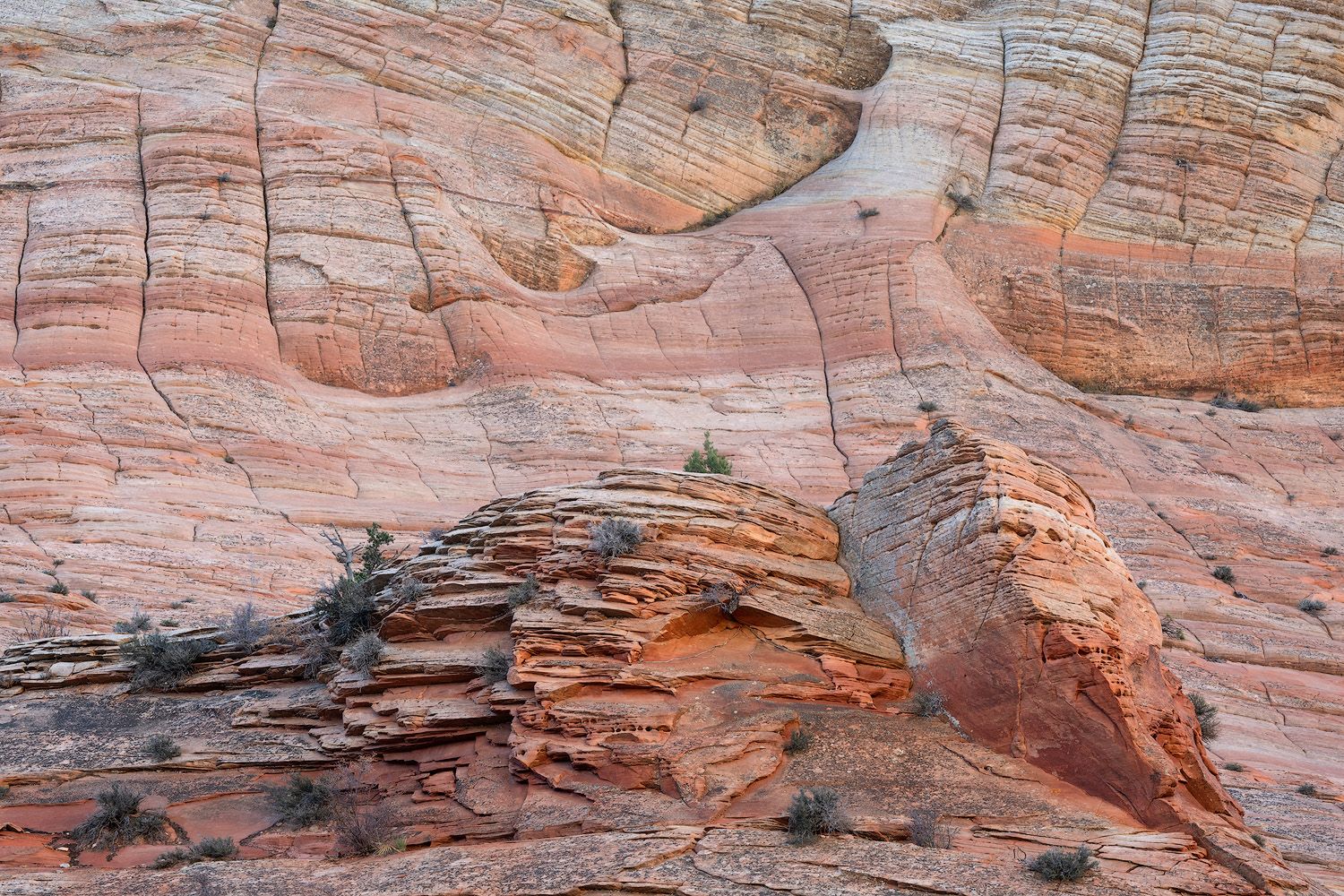 Panoramic view of layered red sandstone rock formations with intricate patterns and textures in a desert landscape.