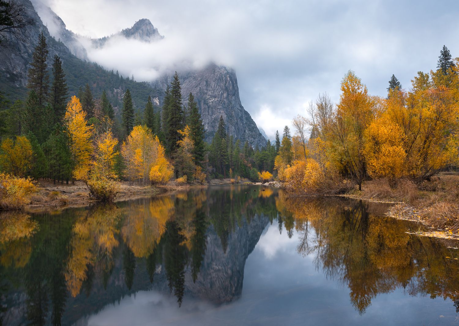 Golden fall trees reflect in calm waters of Yosemite Valley with granite cliffs rising beyond.