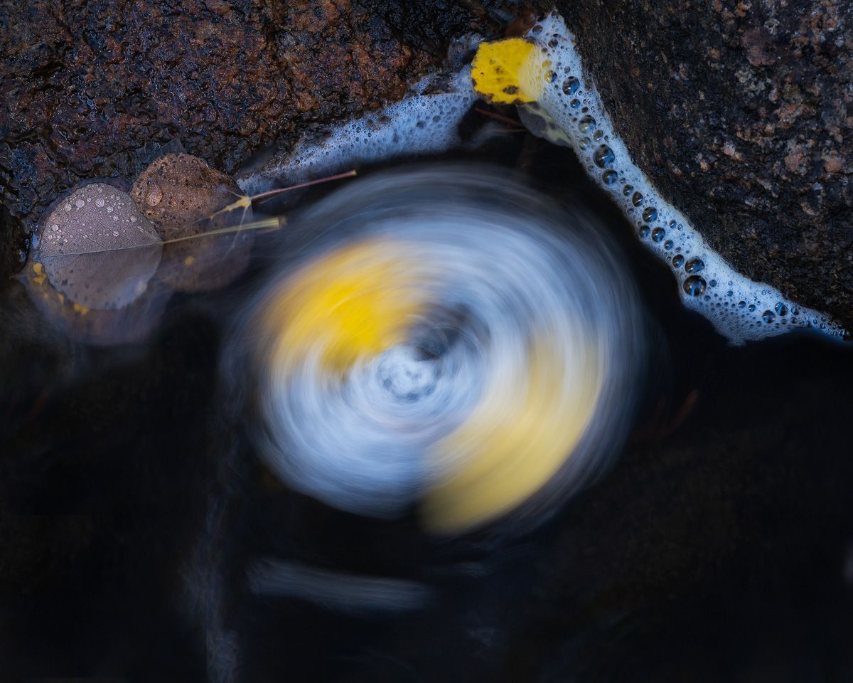 Long exposure of swirling autumn leaves in dark water creating a circular motion pattern.