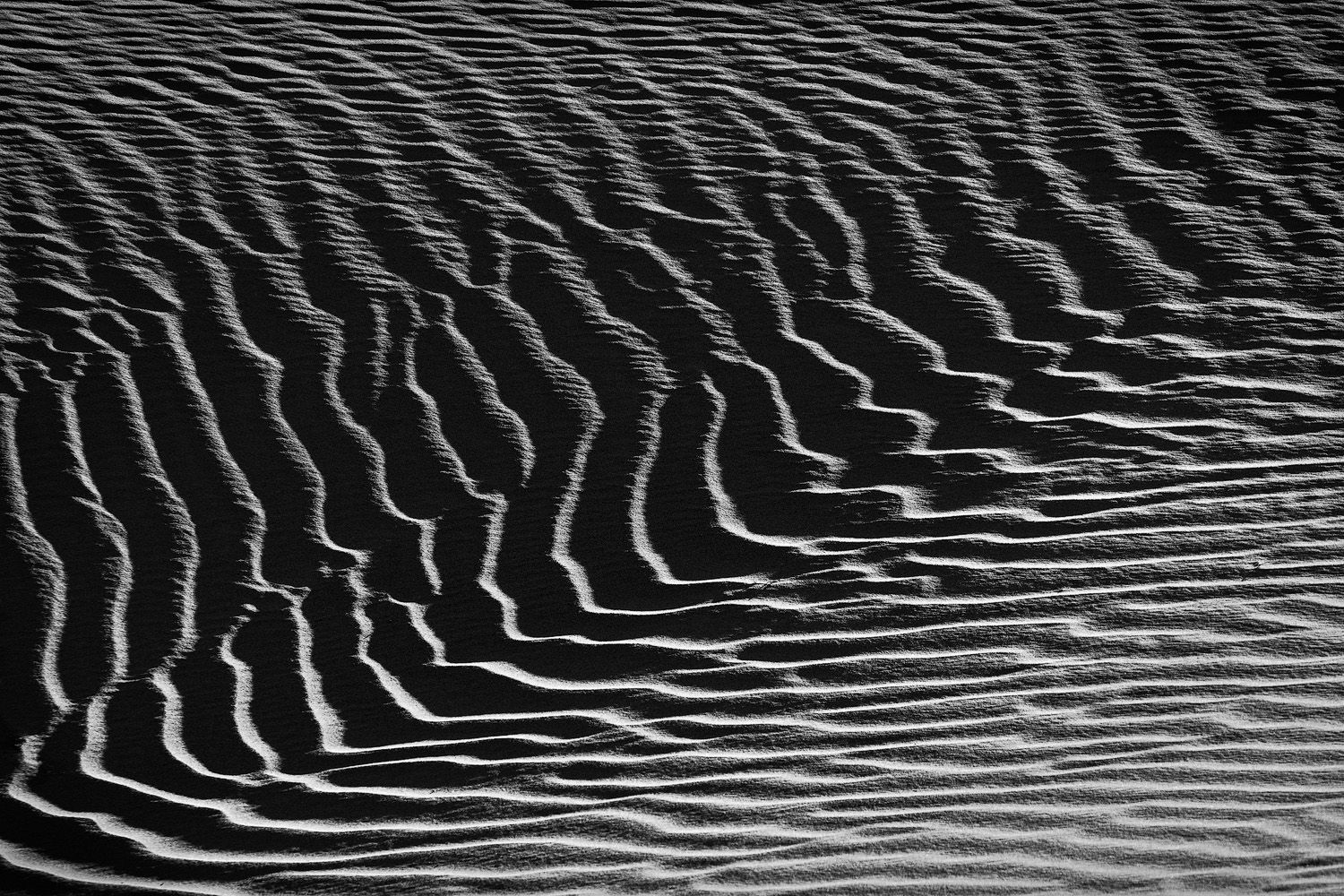 Abstract black and white pattern of rippled sand dunes creating wavy lines and textures.