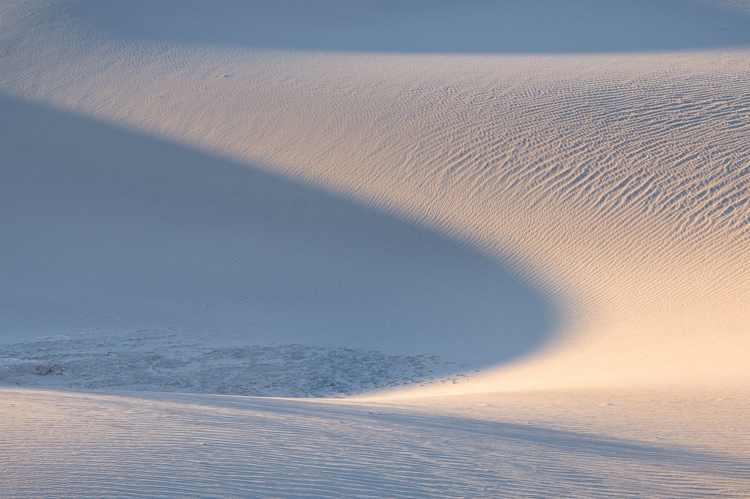 Smooth desert sand dunes create flowing curves and shadows in soft golden light at sunset.