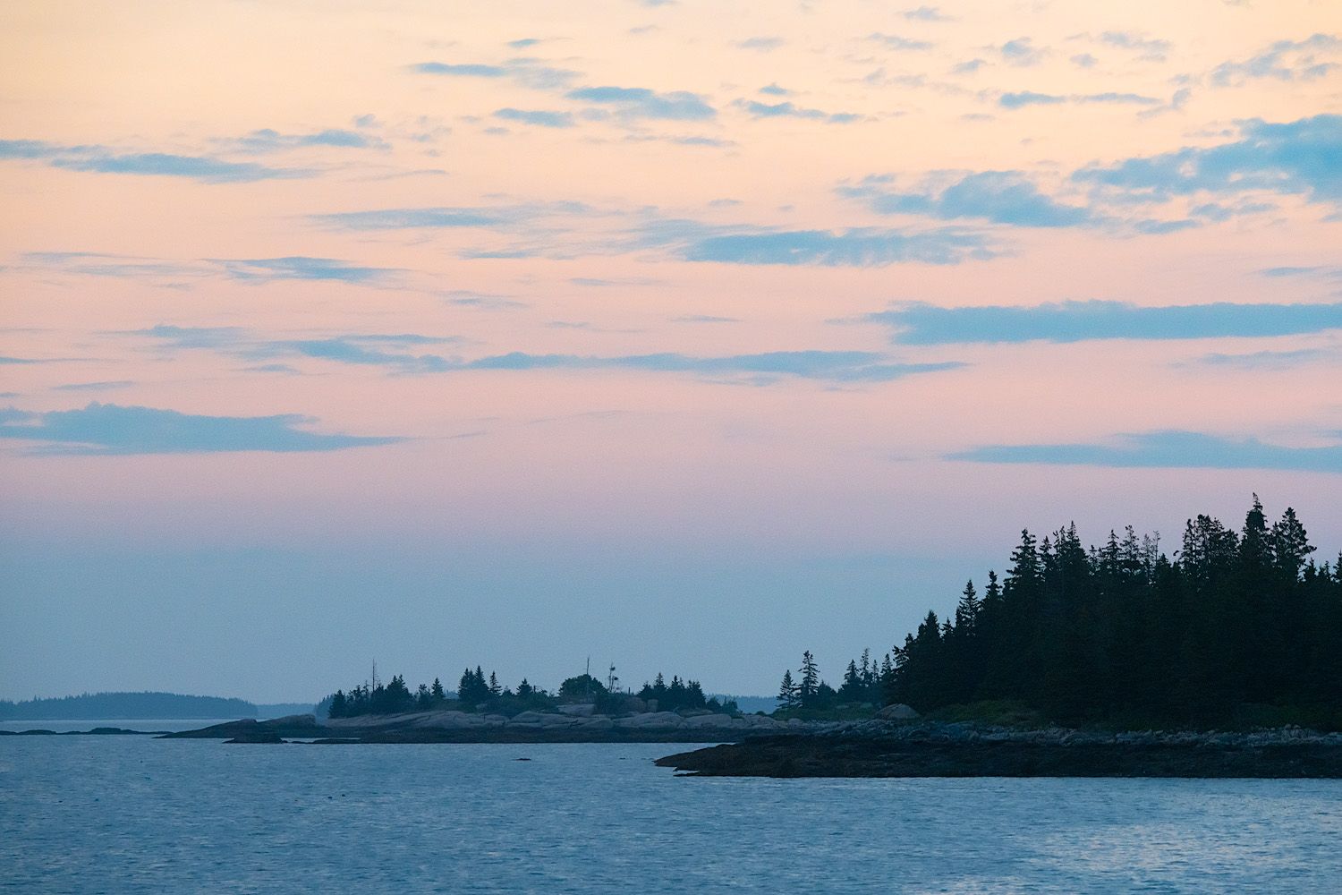 Scenic sunset over a coastal landscape with silhouetted evergreen trees along a rocky shoreline and pink-tinged clouds.