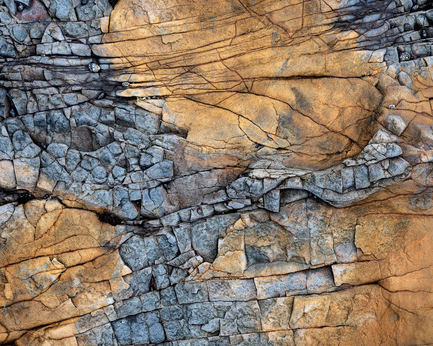 Close-up of weathered rock surface showing golden and blue-gray mineral patterns.