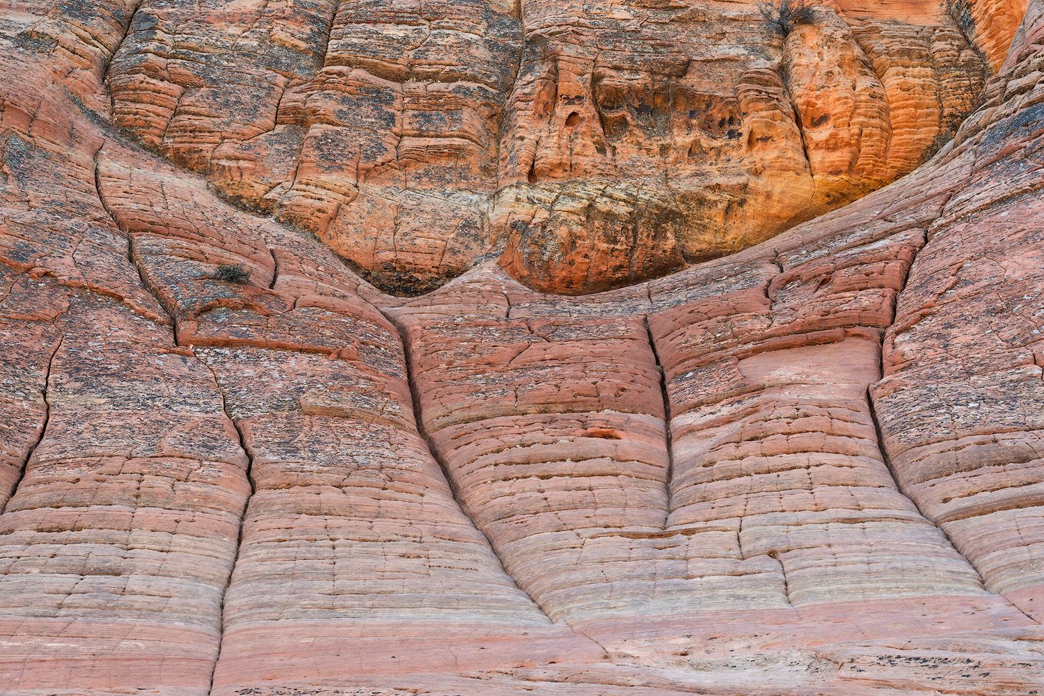 Scenic view of red and orange sandstone canyon walls with intricate patterns and textures in desert landscape.