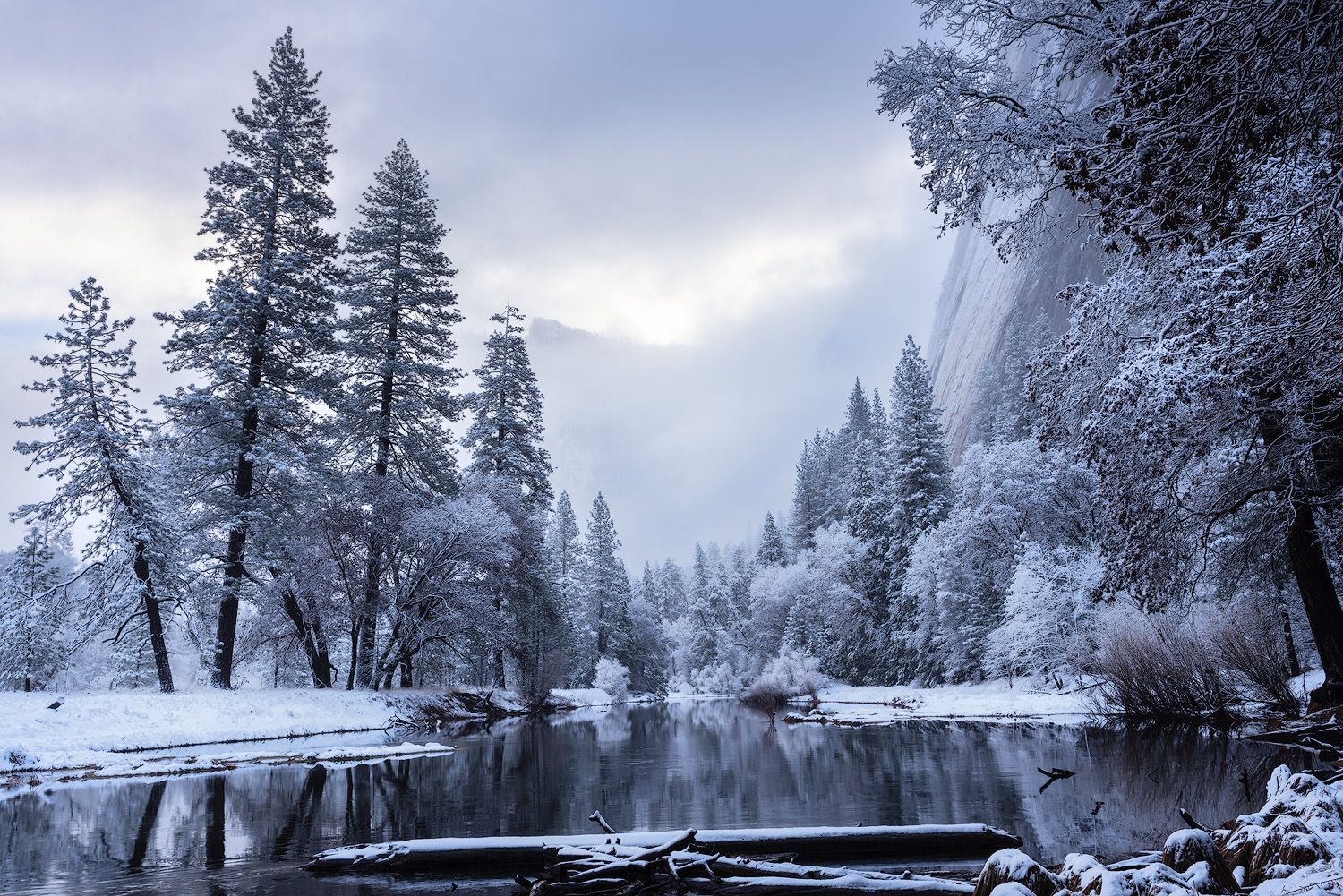 Snow covered pine trees reflect in calm winter river with granite cliffs rising in background.