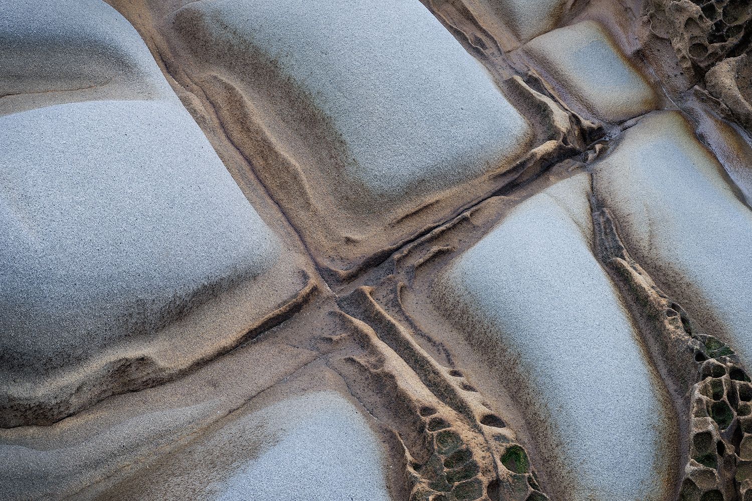 Geometric tafoni patterns in the beach sandstone.