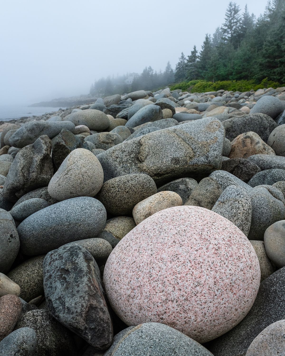 Smooth granite rocks on a foggy beach shore with evergreen trees visible in the misty background.
