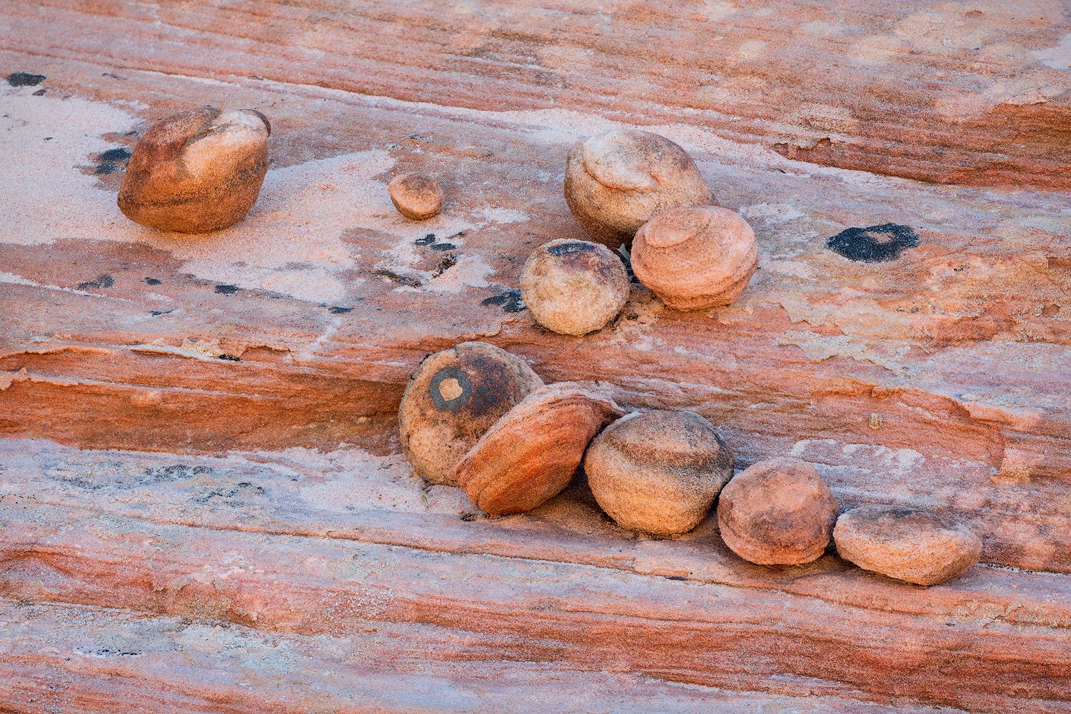 Weathered orange rocks scattered on a rustic wooden surface with natural grain patterns.