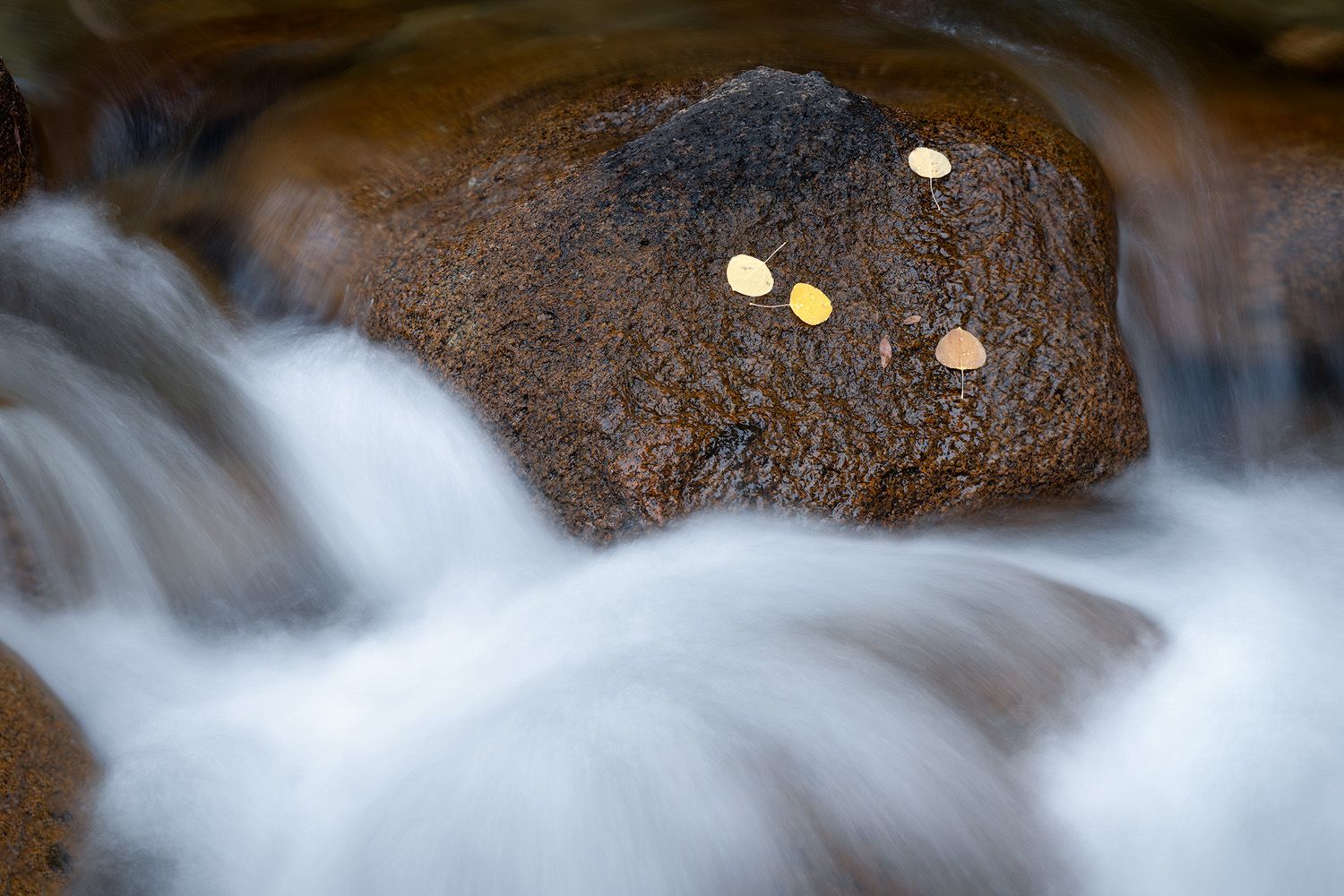 Long exposure photograph captures silky smooth water flowing over dark rocks with golden bubbles reflecting in sunlight.