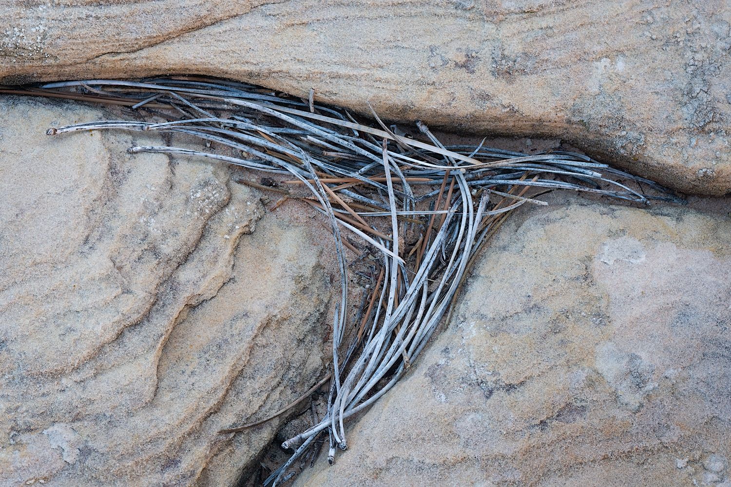 Twisted metal cables or wires laying across textured rock surface in a natural outdoor setting.
