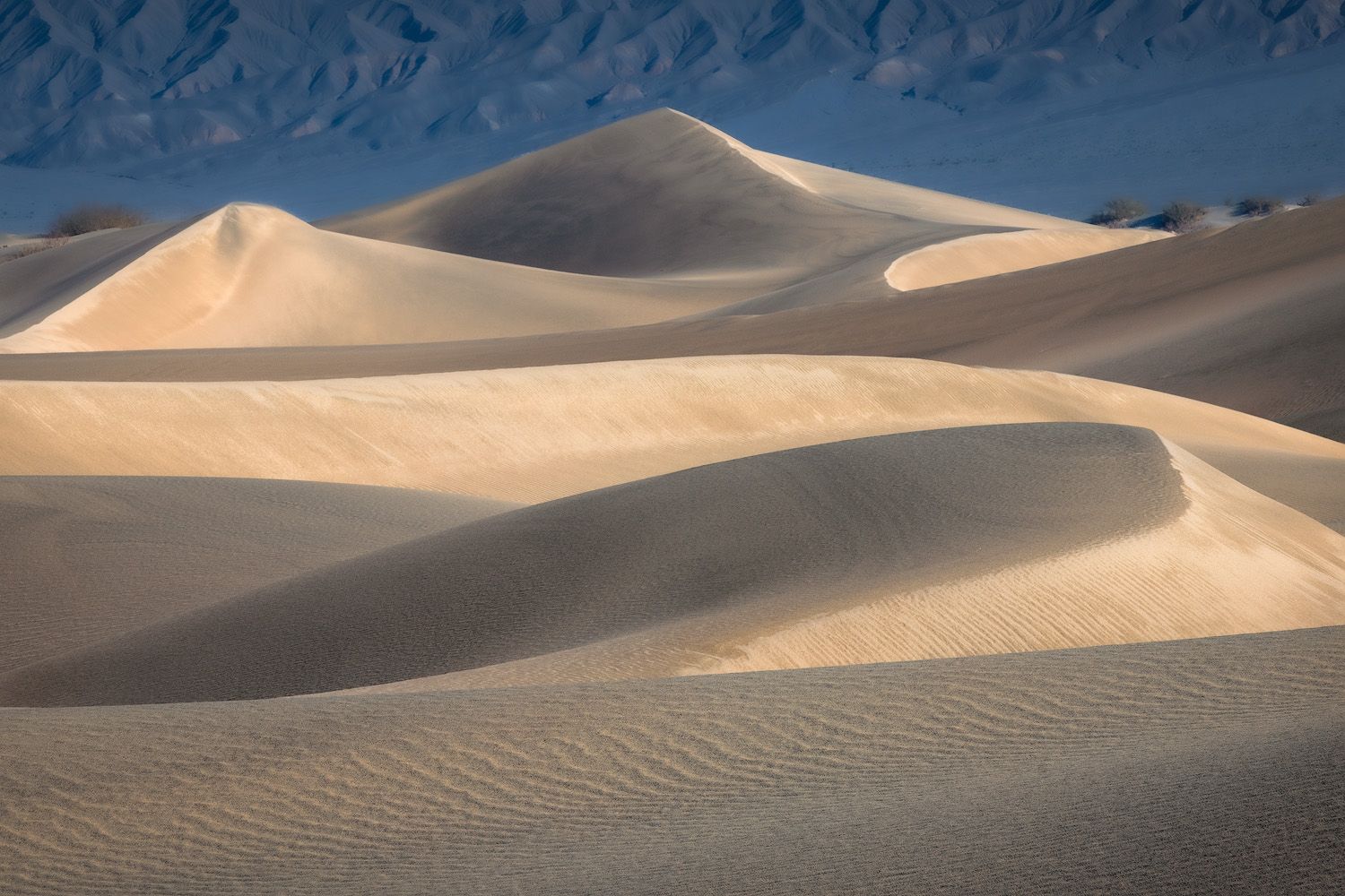 Rolling sand dunes stretch across a vast desert landscape with rippling patterns and shadows cast by sunlight.