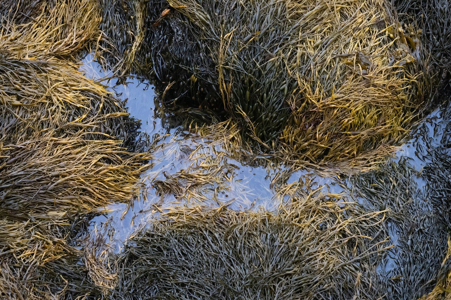 Zoomed-in bolts of straw bales in golden light against blue sky showing agricultural harvest pattern.