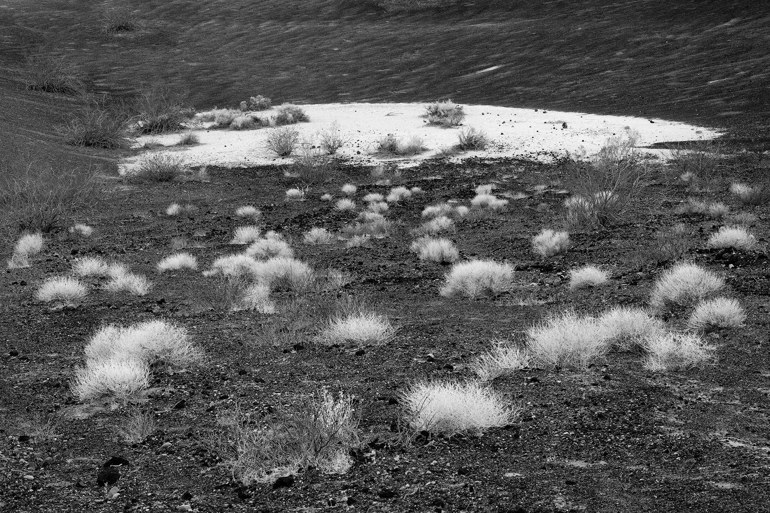 A panoramic black and white aerial view shows rolling hills dotted with small bushes and scattered clouds in a desert landscape.