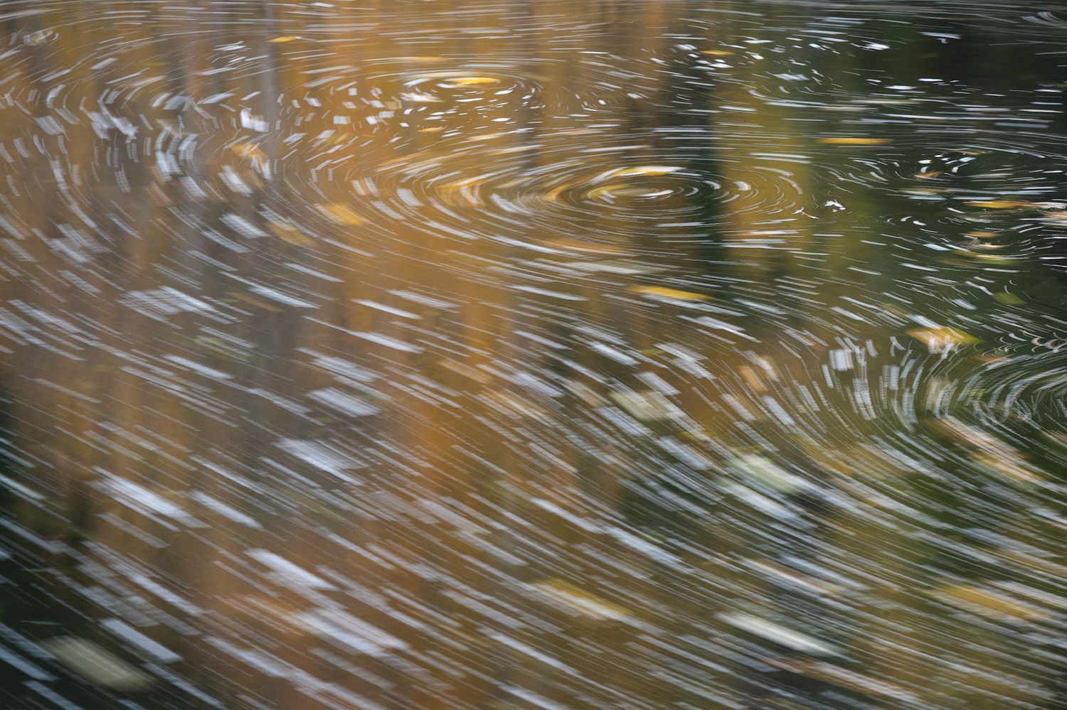 Rippling water surface reflecting golden autumn light and creating abstract patterns.