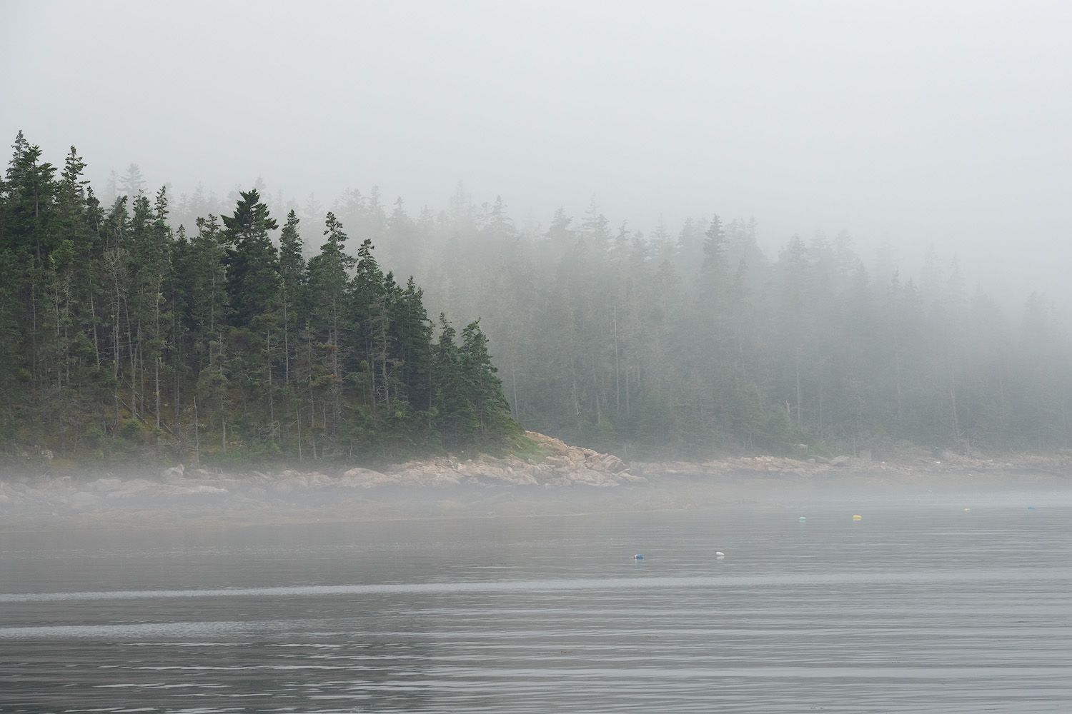 A misty morning on a serene lake surrounded by evergreen forest with fog rolling across the water's surface.