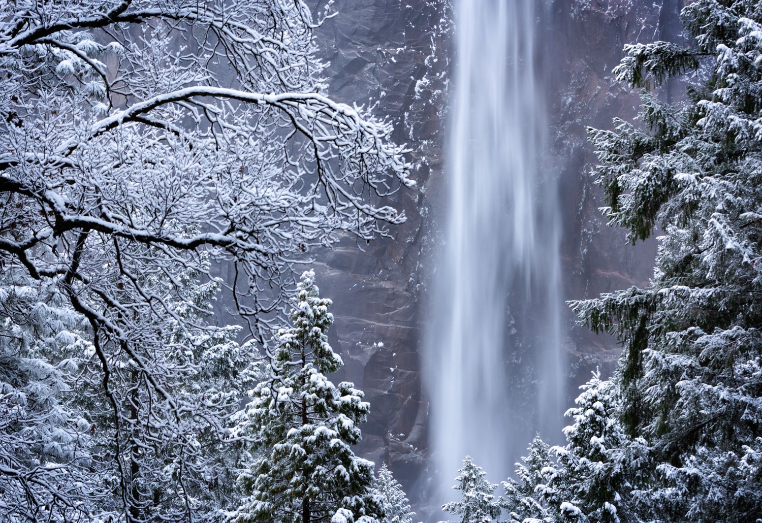 Snow-covered trees frame a majestic waterfall cascading down a rocky cliff in winter.