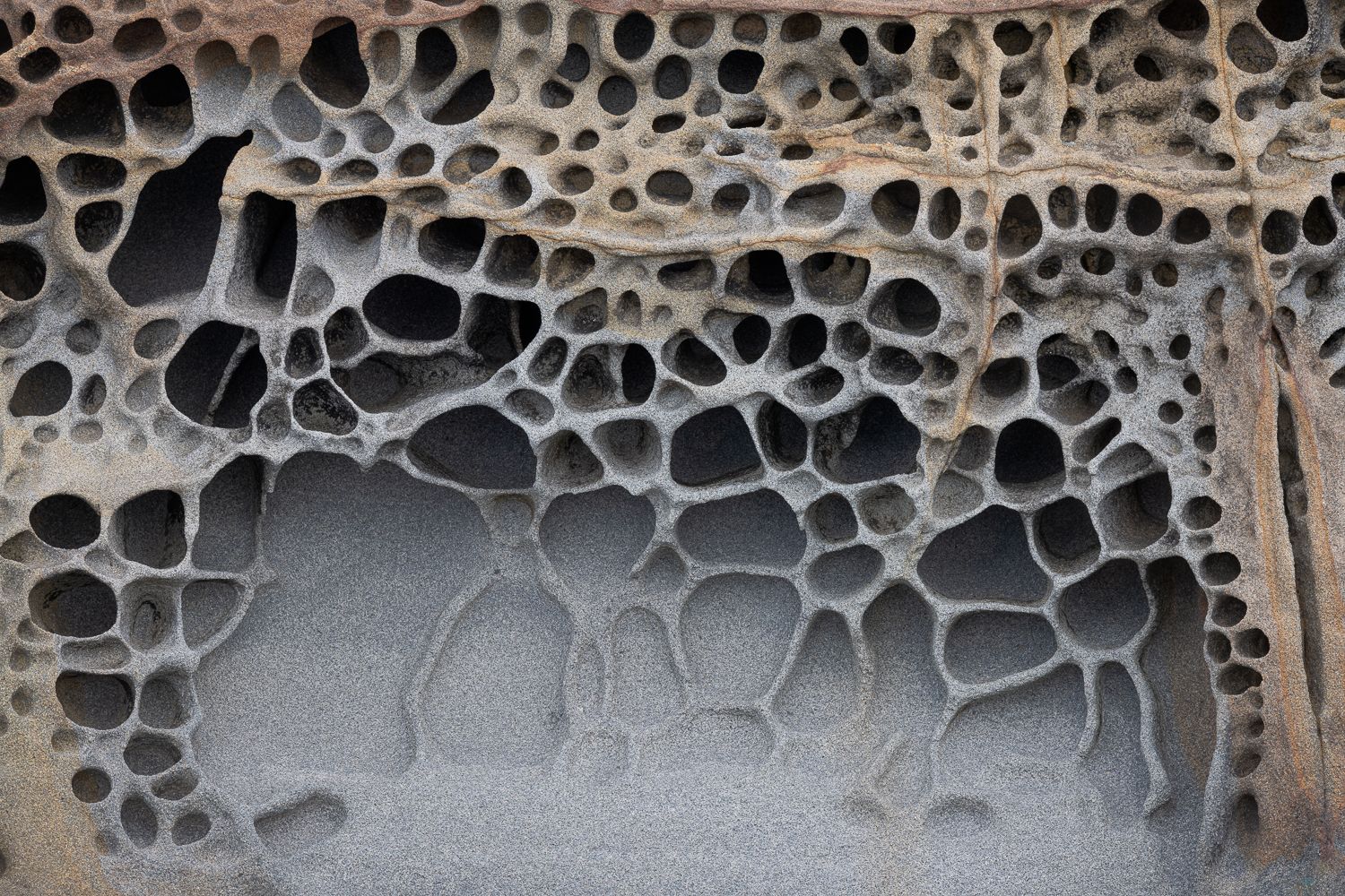 Natural tafoni rock formations create honeycomb patterns in weathered sandstone.