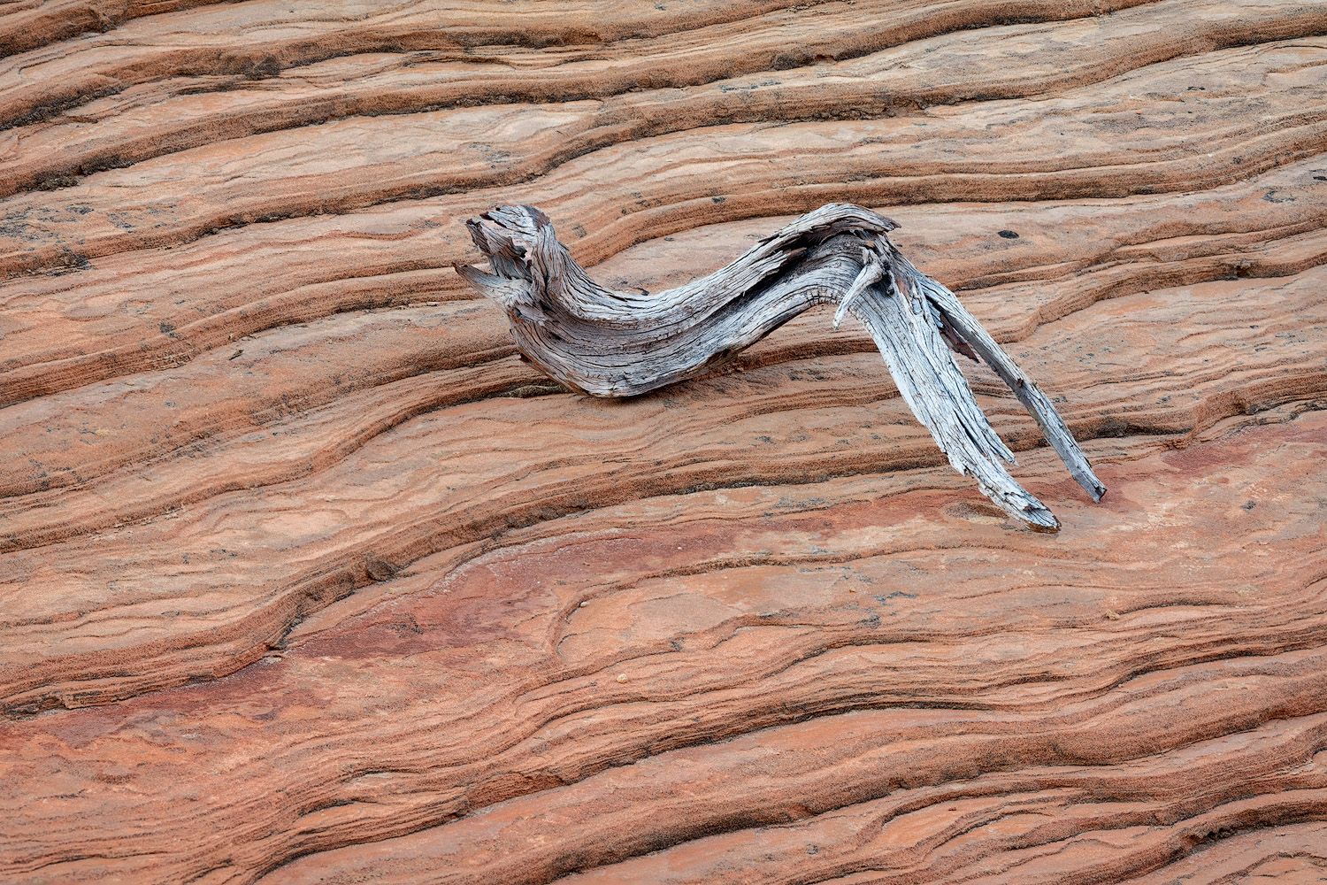 Close-up view of weathered wood grain texture showing natural patterns and lines in reddish brown tones.
