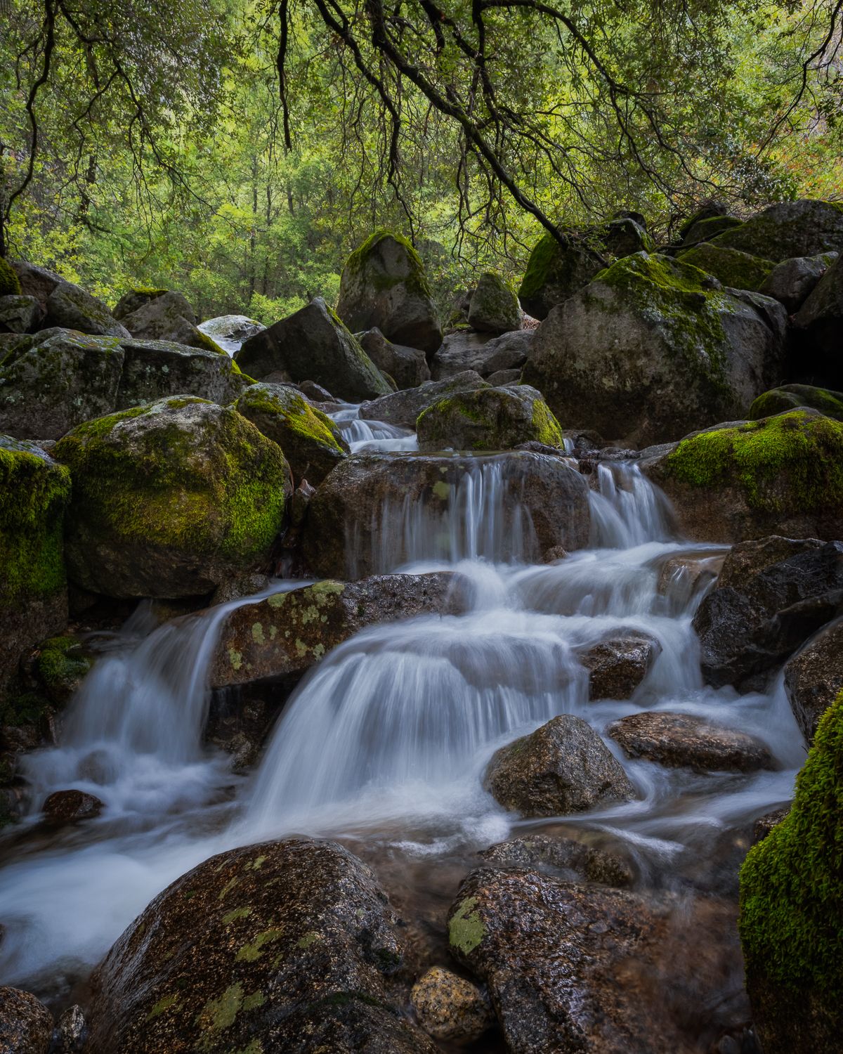 Mossy rocks frame a cascading stream waterfall in a lush green forest setting.