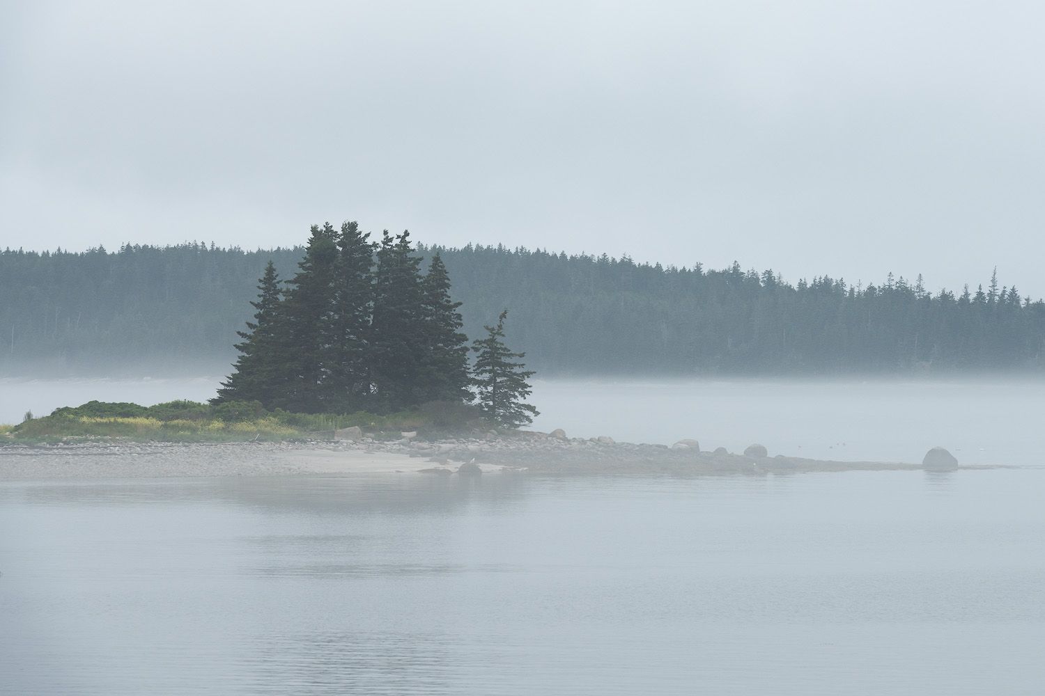 Evergreen trees on a small island surrounded by misty water on a foggy morning in Maine.